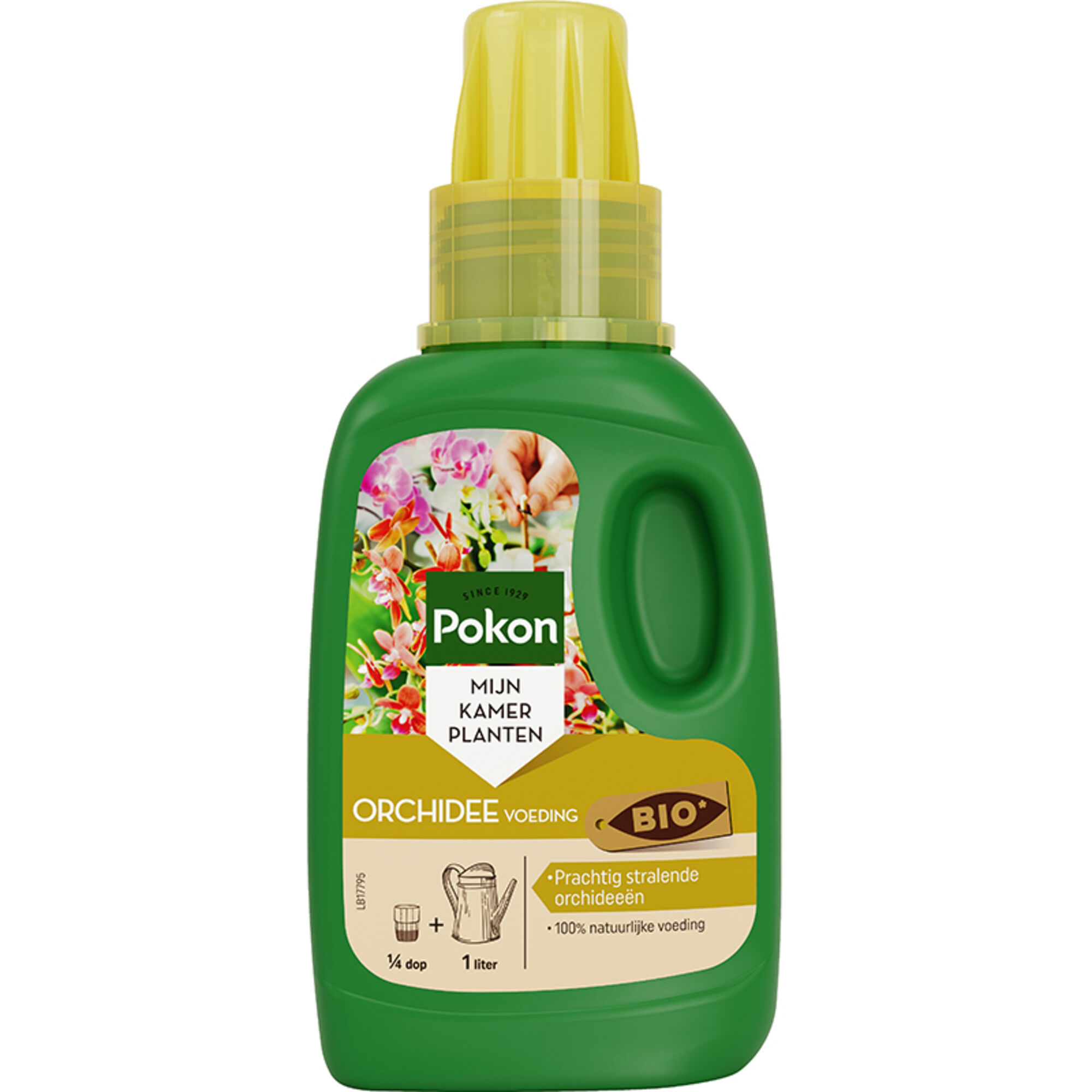 Pokon Bio Orchidee Voeding
