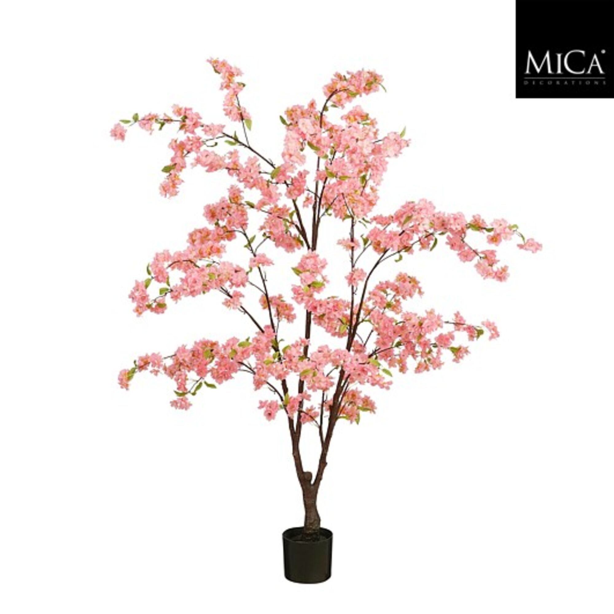 Bloesemboom in pot roze