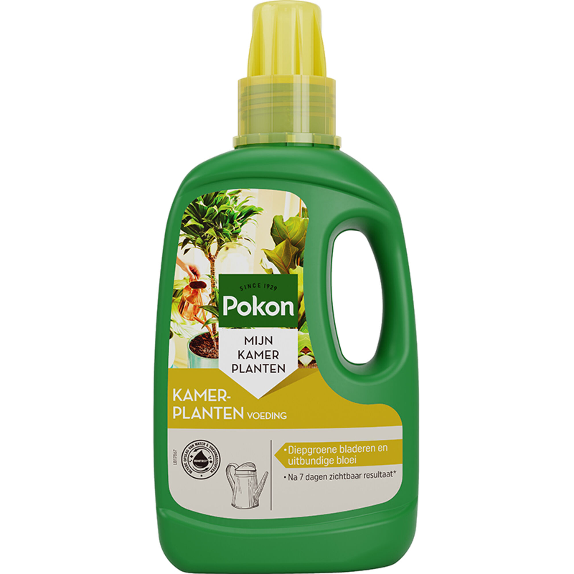 Pokon Bio Kamerplanten Voeding