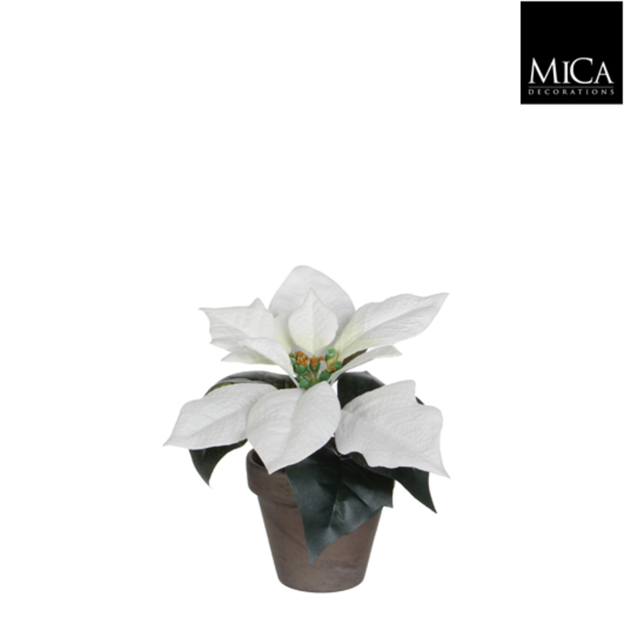 Poinsettia wit in pot Stan grijs d9cm