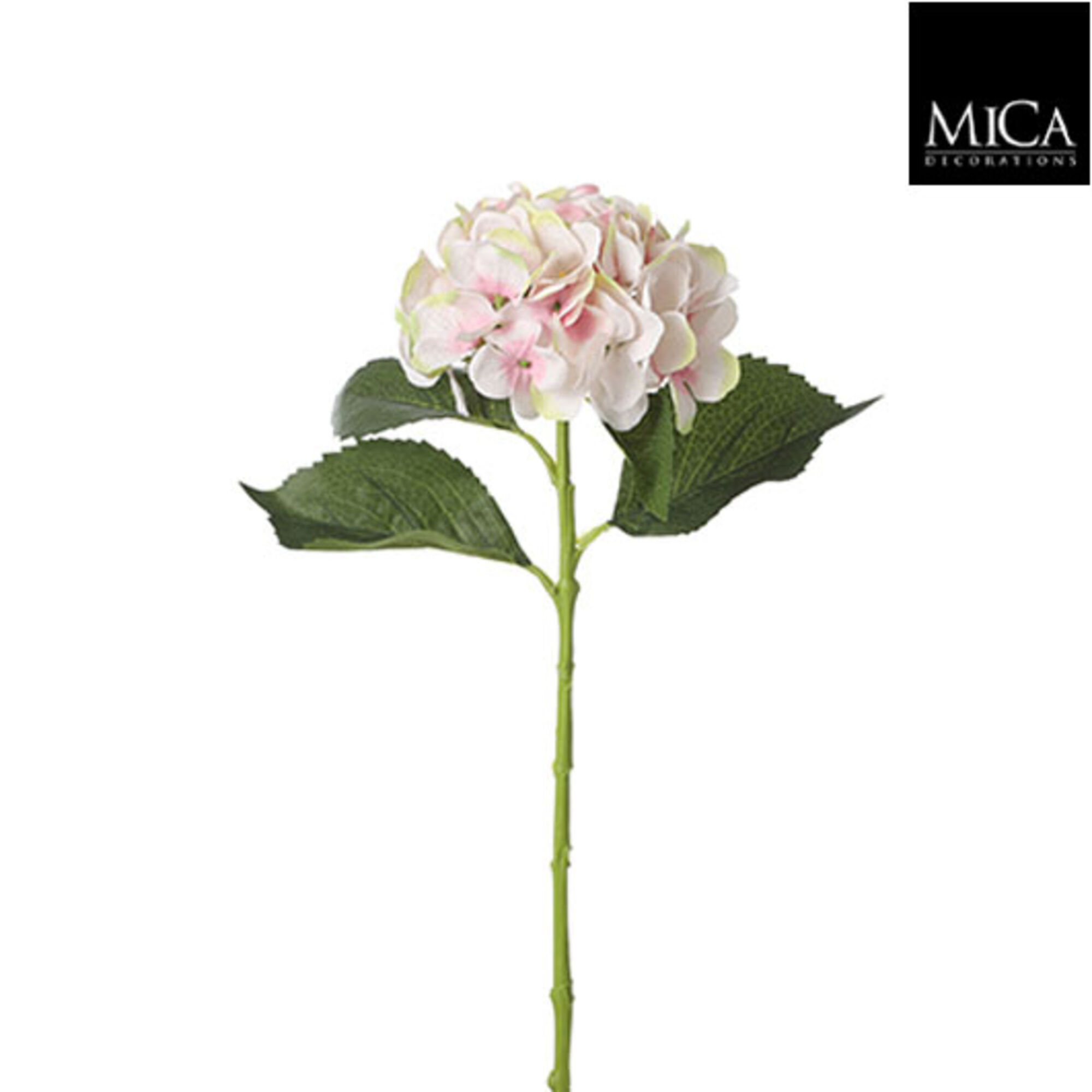 Hortensia l.roze