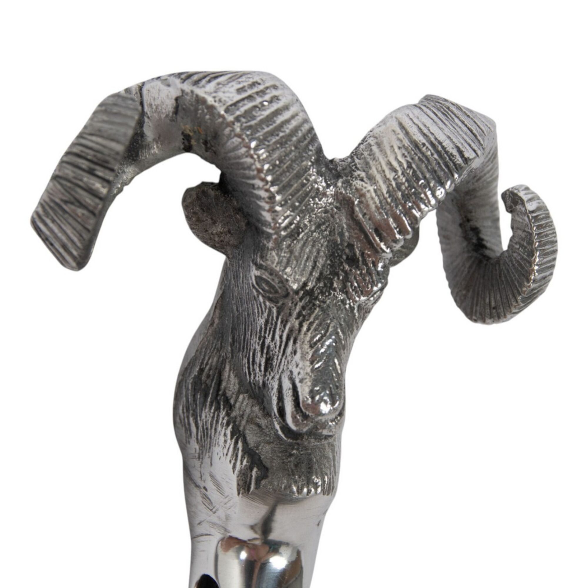 Schoenlepel Ram