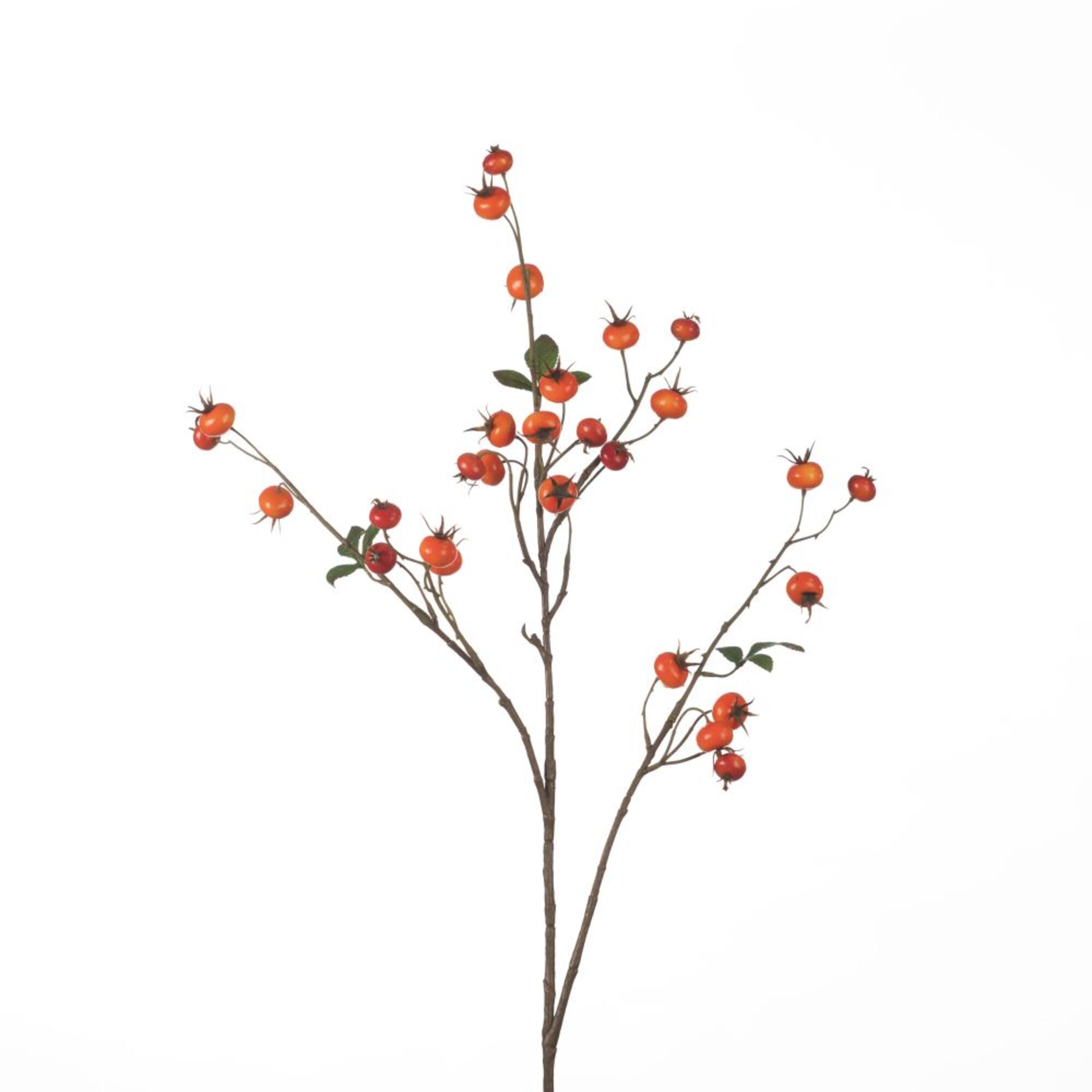 Rosehip Pumpkin Spray orange