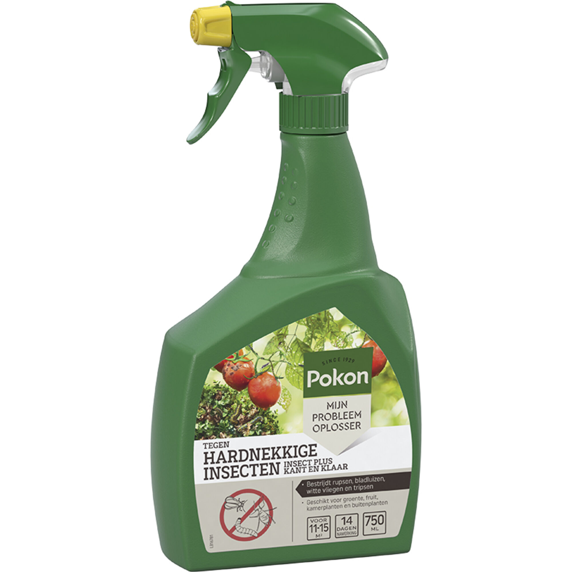 Pokon Tegen Insecten Hardnekkige Spray