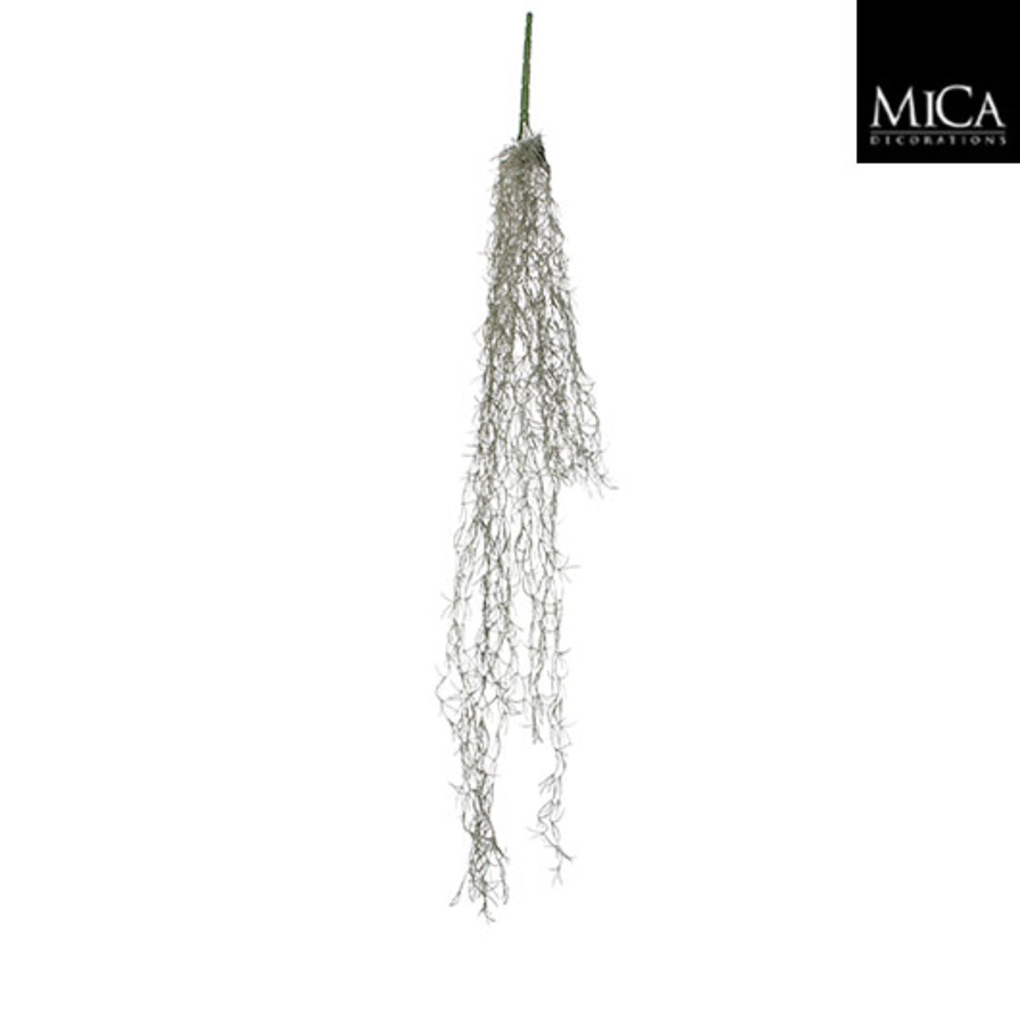 Tillandsia hangend groen