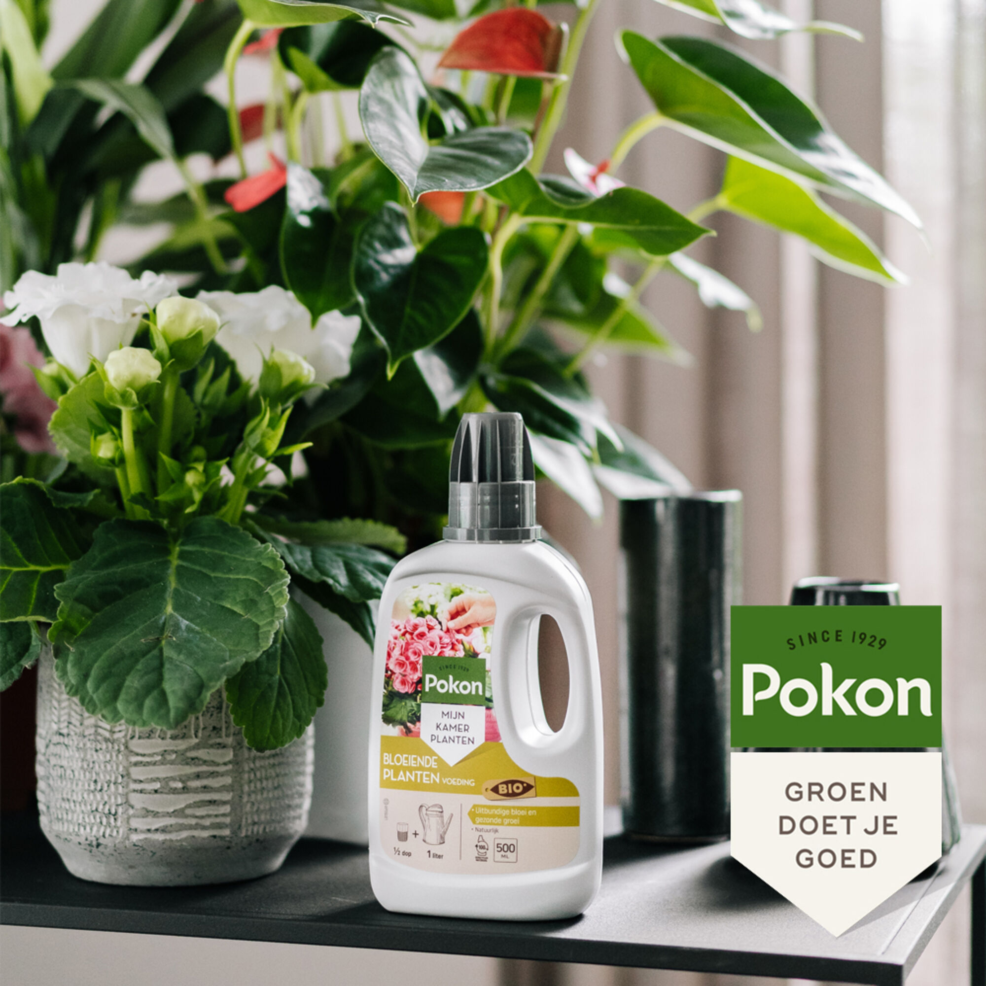 Pokon Bio Bloeiende Planten Voeding