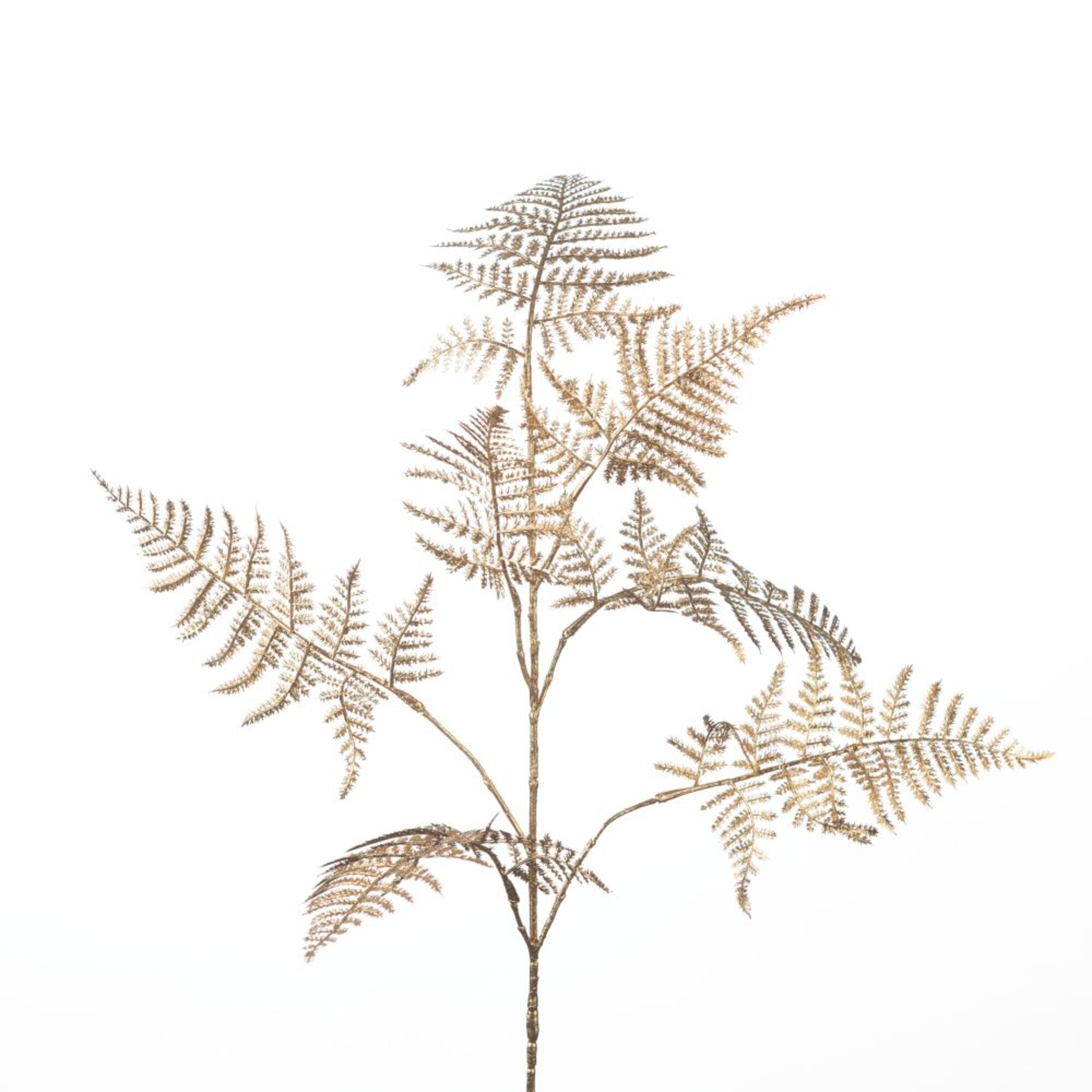 Asparagus Spray Gold