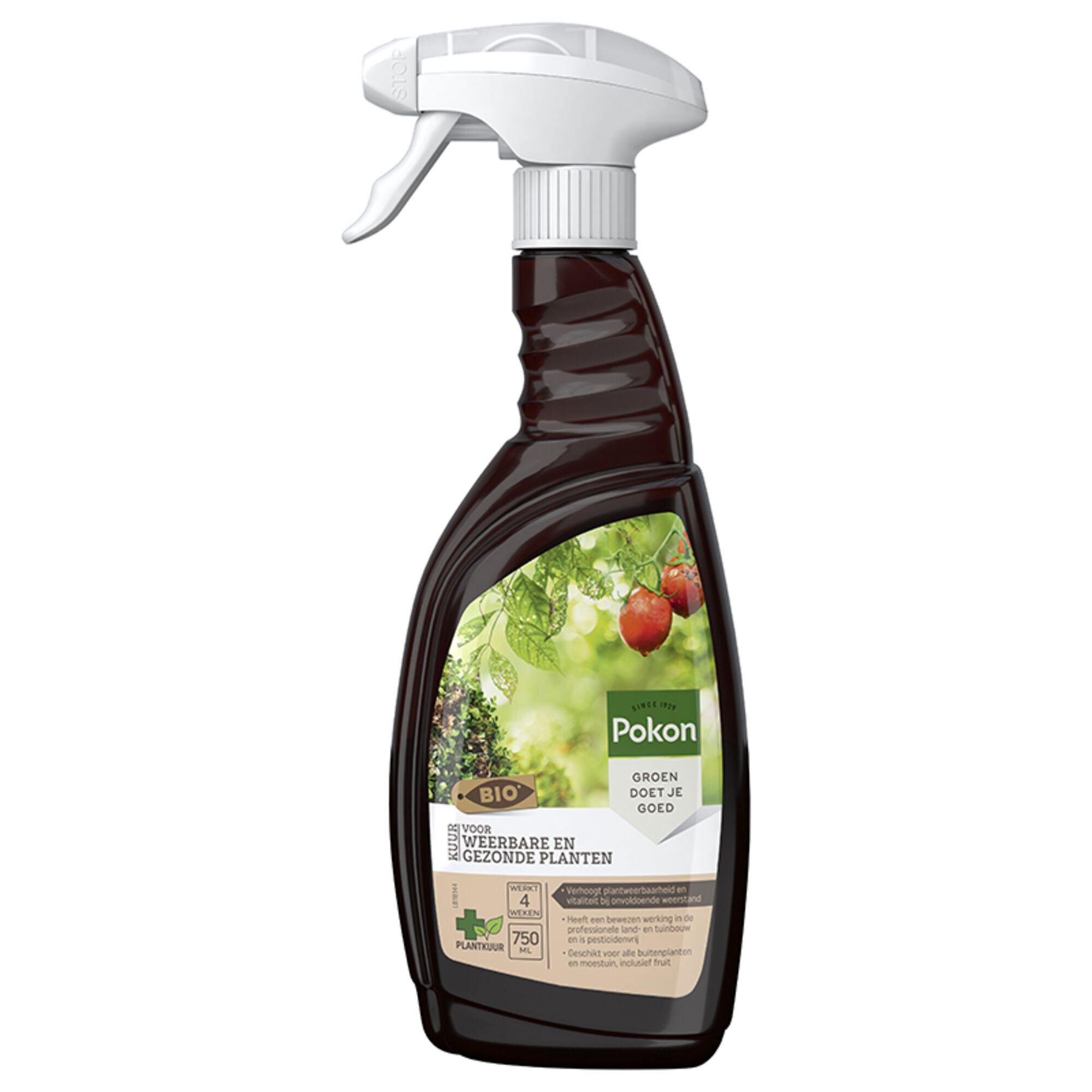 Pokon Bio Kuur Voor Weerbare en Gezonde Planten Spray