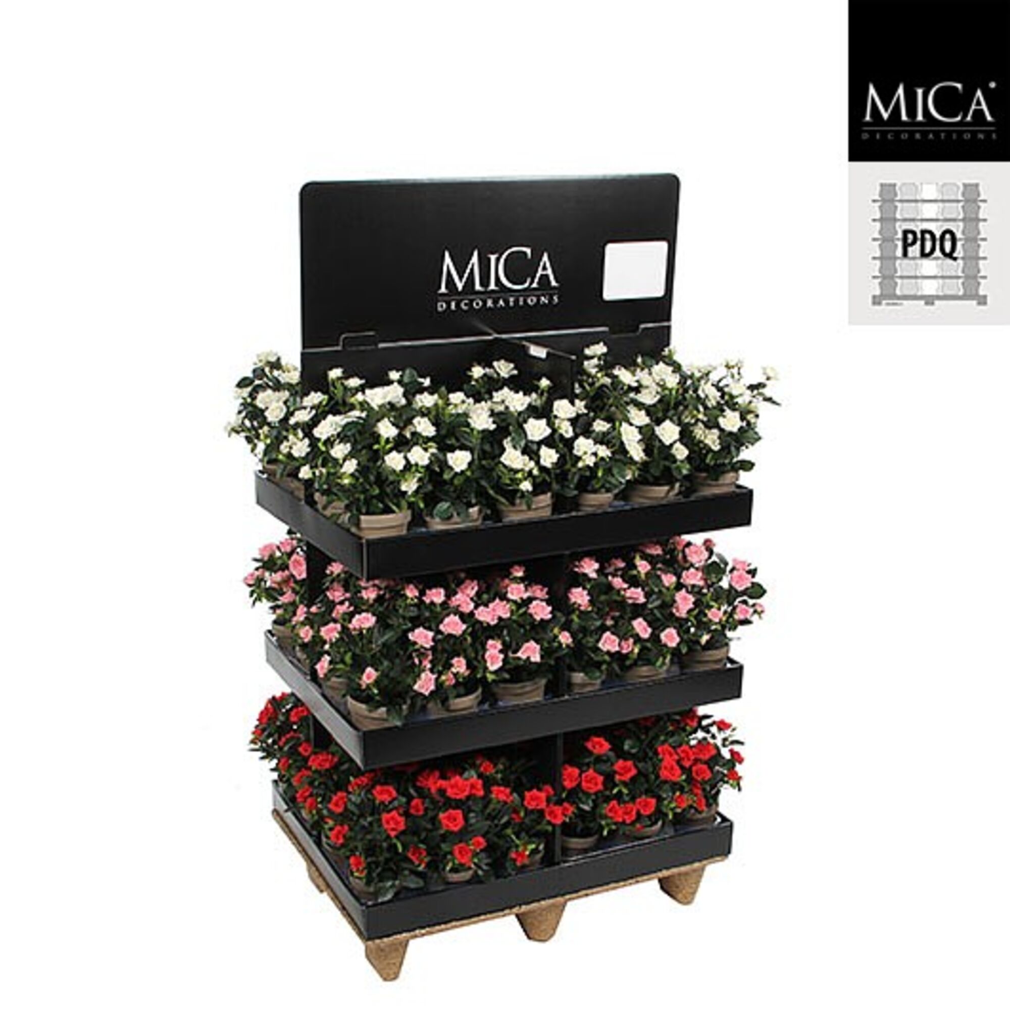 Roos in pot 3 assorti pdq 72 stuks