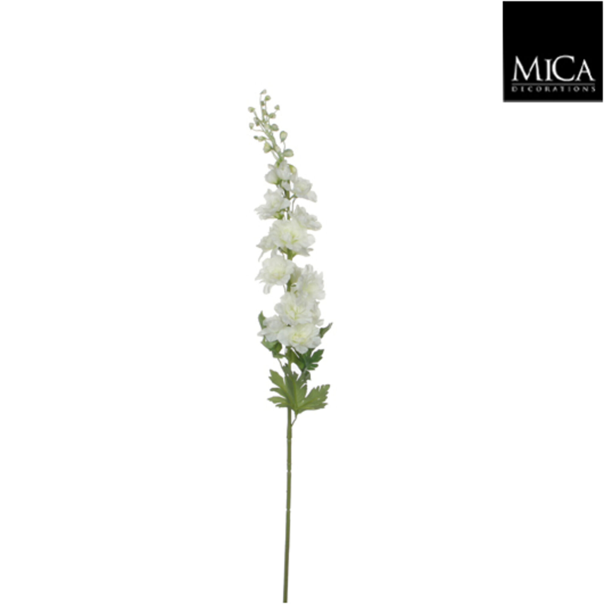 Delphinium wit