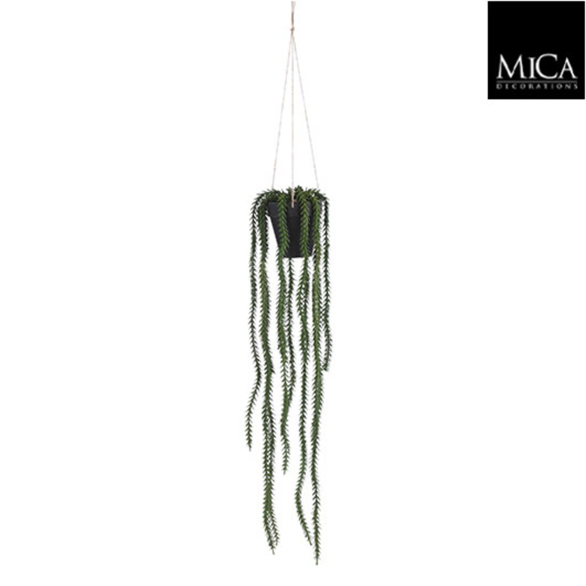 Rhipsalis hangend in pot groen