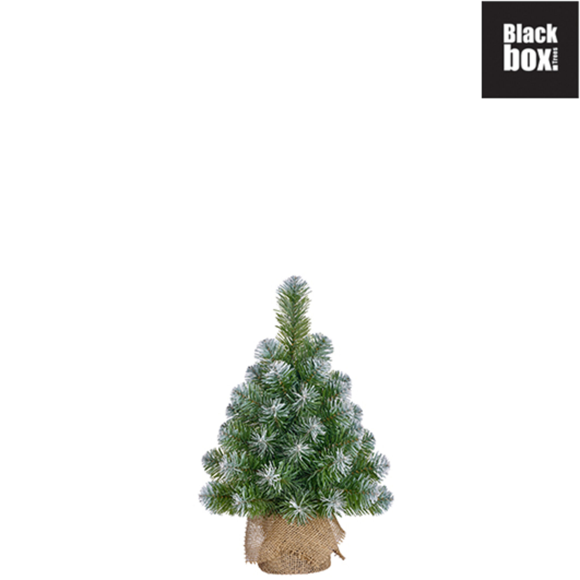 Norton kerstboom w-burlap groen frosted TIPS 40