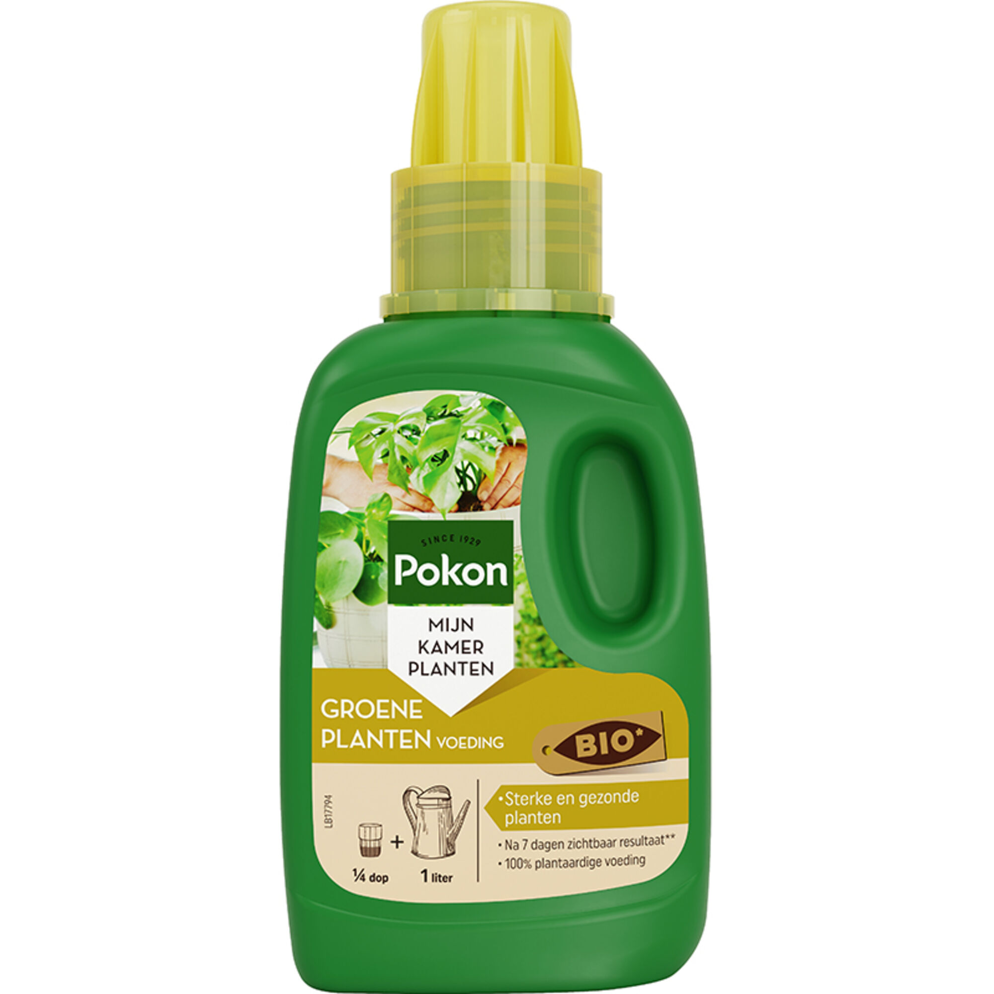 Pokon Bio Groene planten Voeding