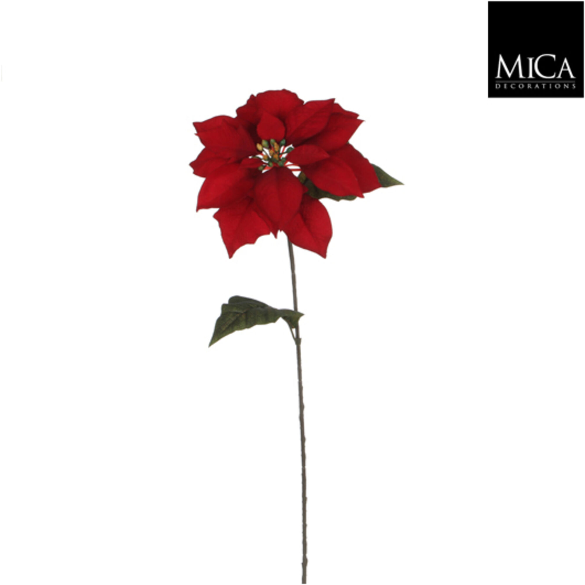 Poinsettia rood