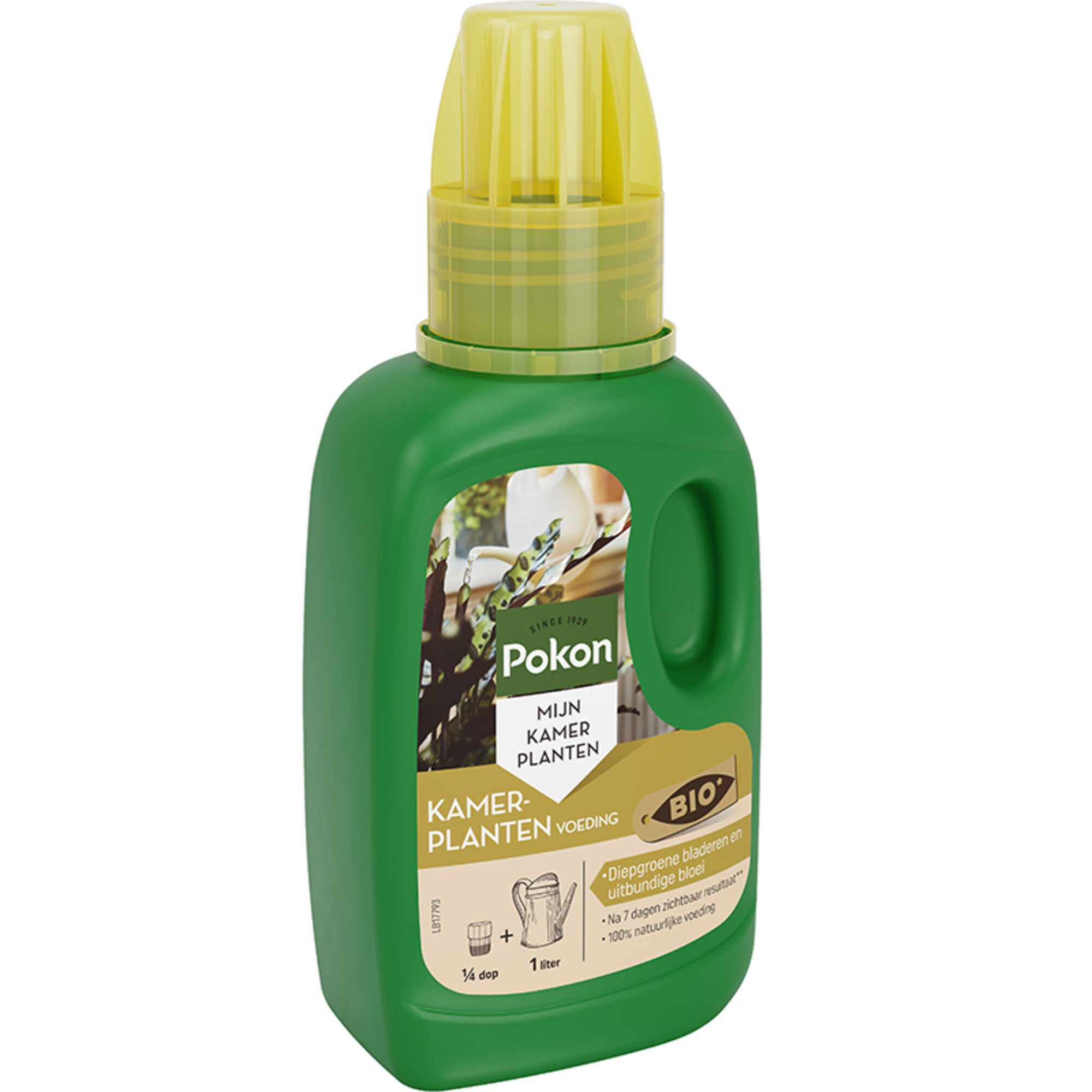 Pokon Bio Kamerplanten Voeding