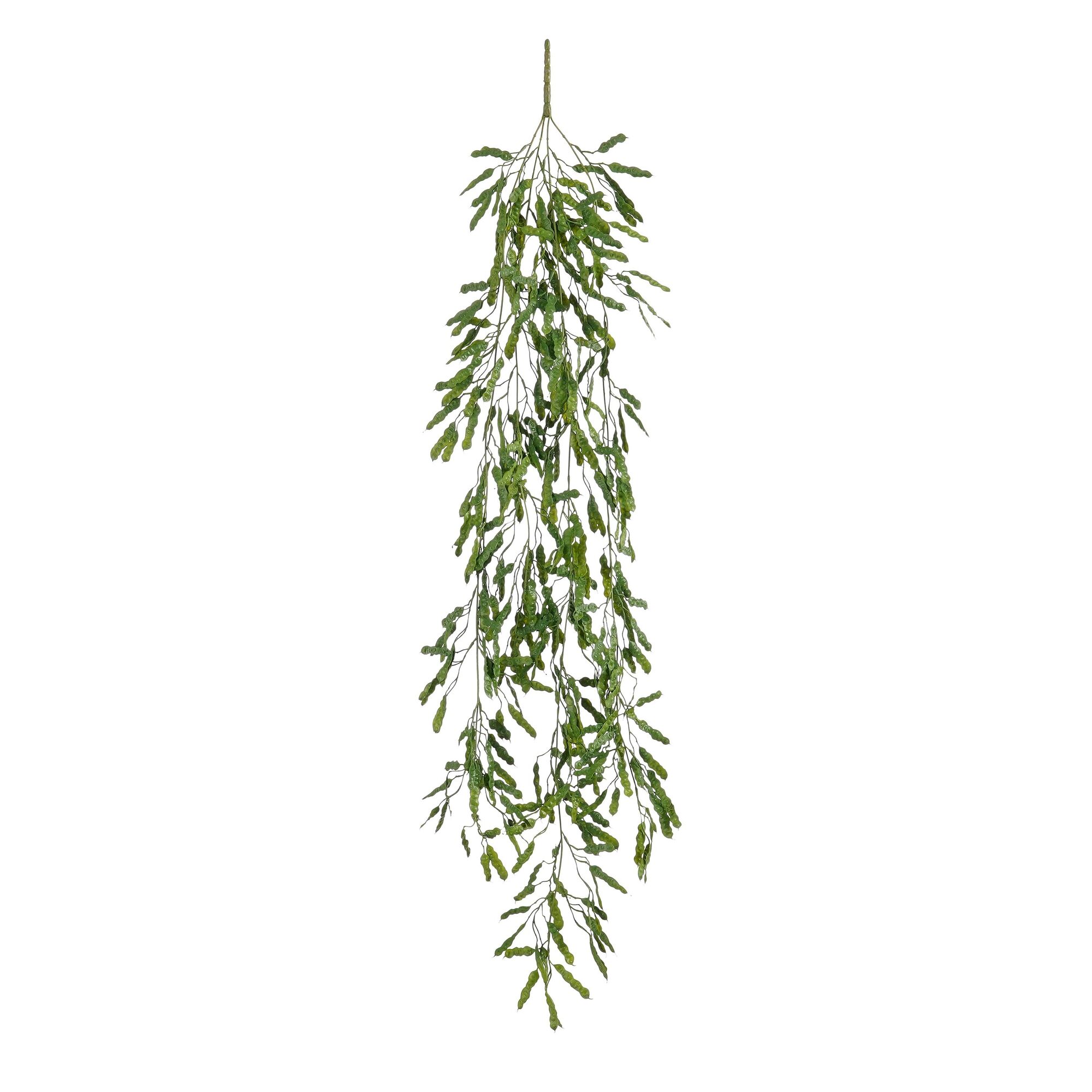 Gras hangend groen