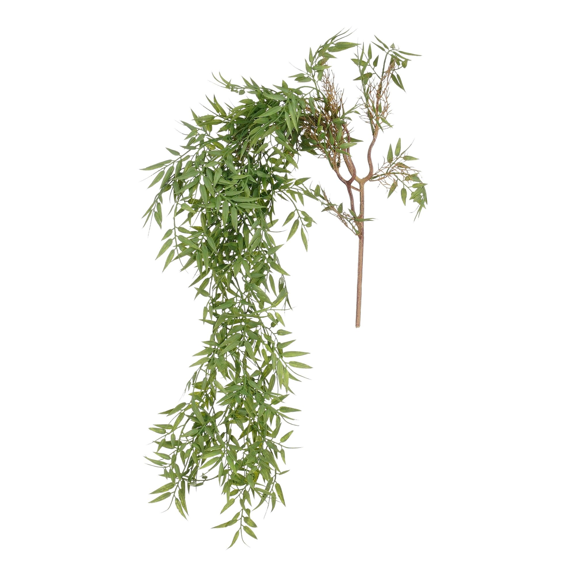 Bamboe hangend groen