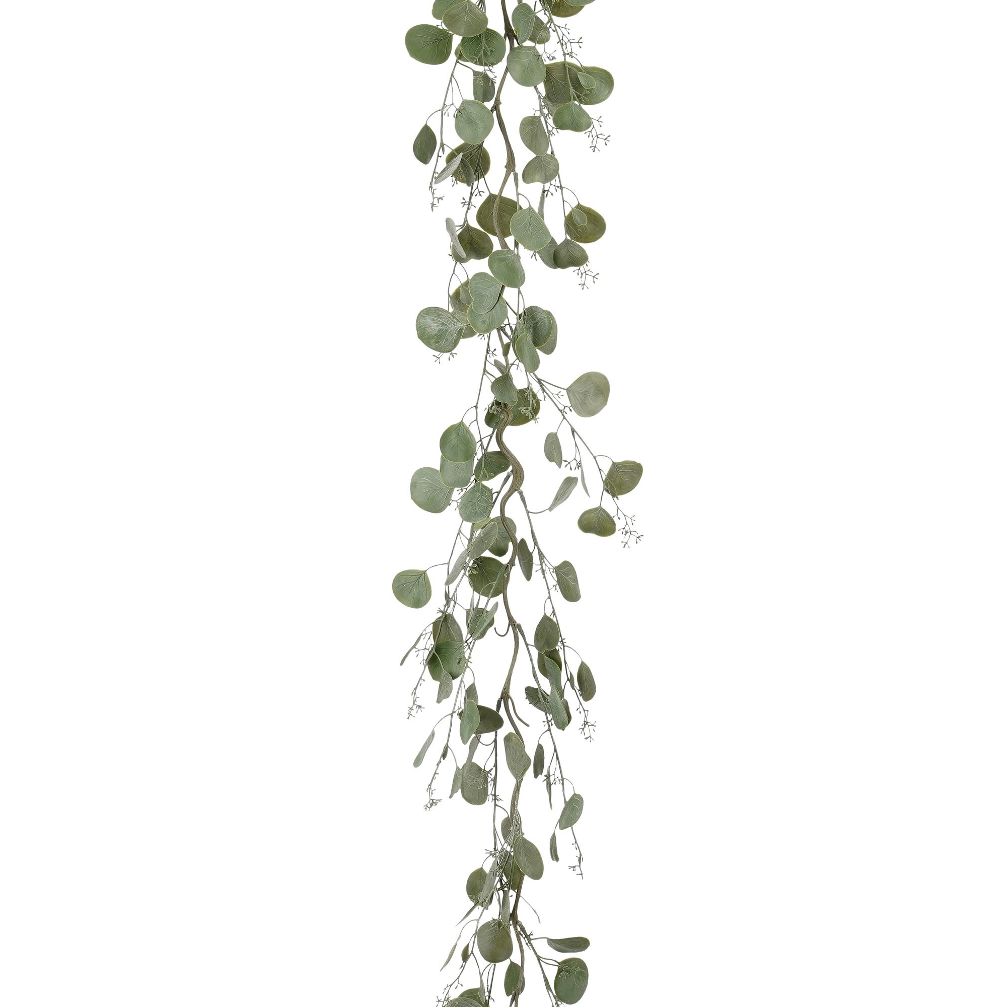 Slinger eucalyptus groen