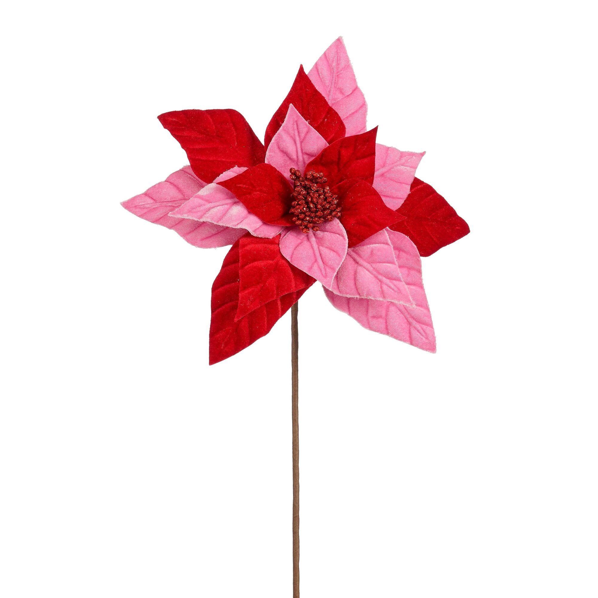 Poinsettia tak rood