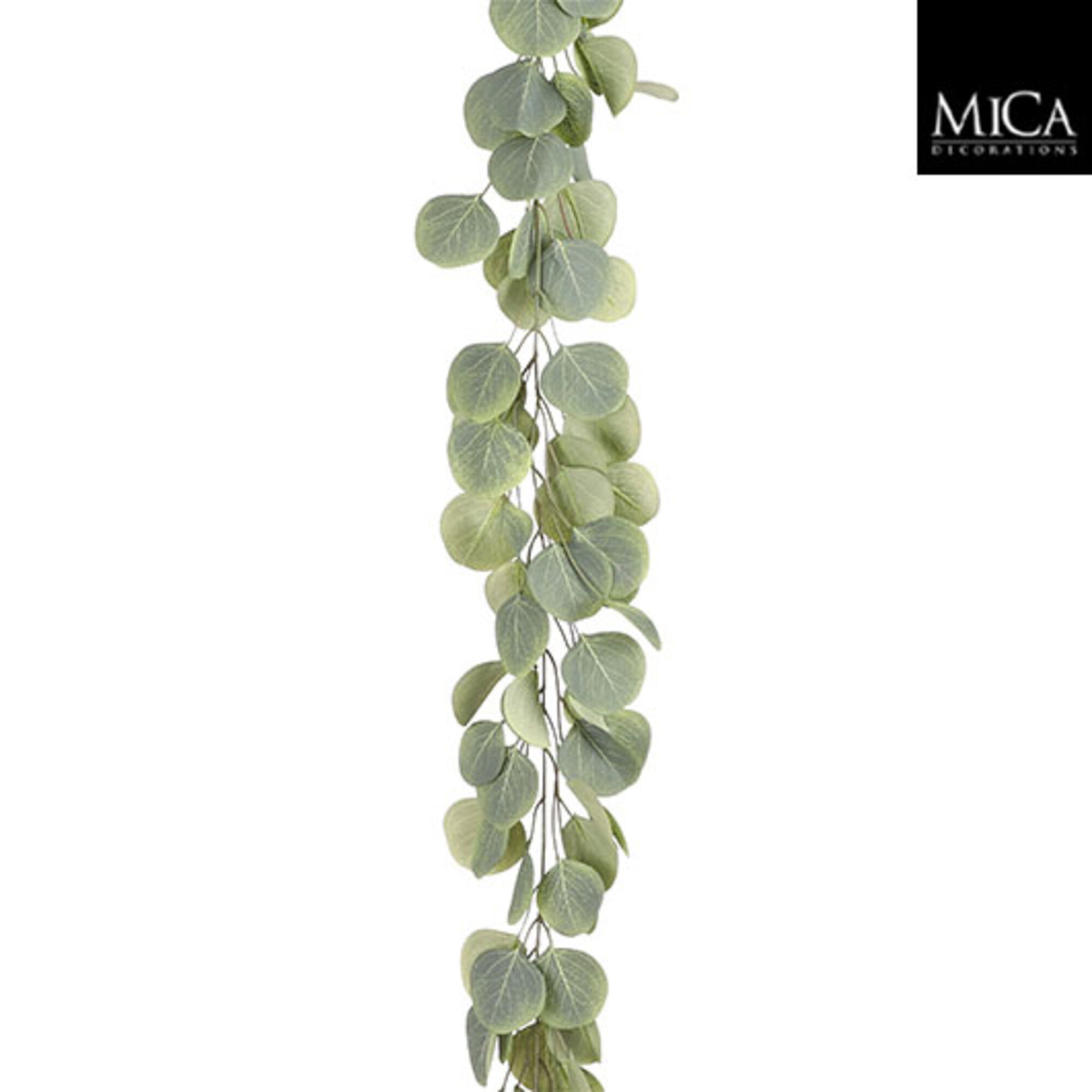 Slinger eucalyptus groen