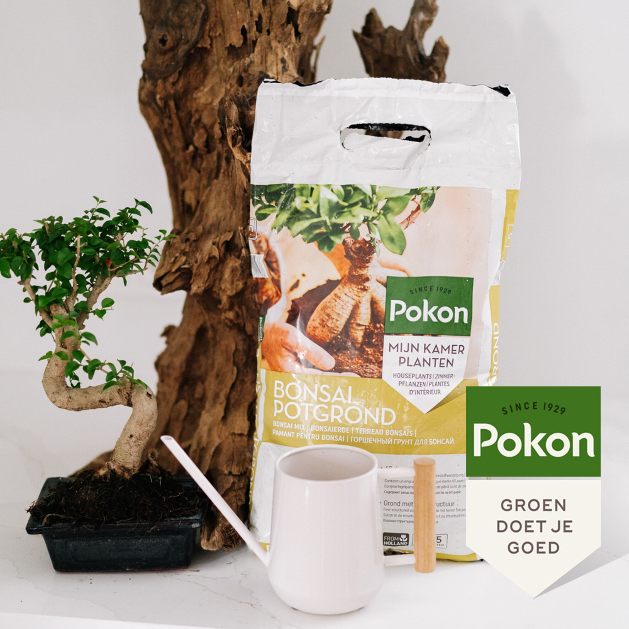 Pokon Bonsai Potgrond