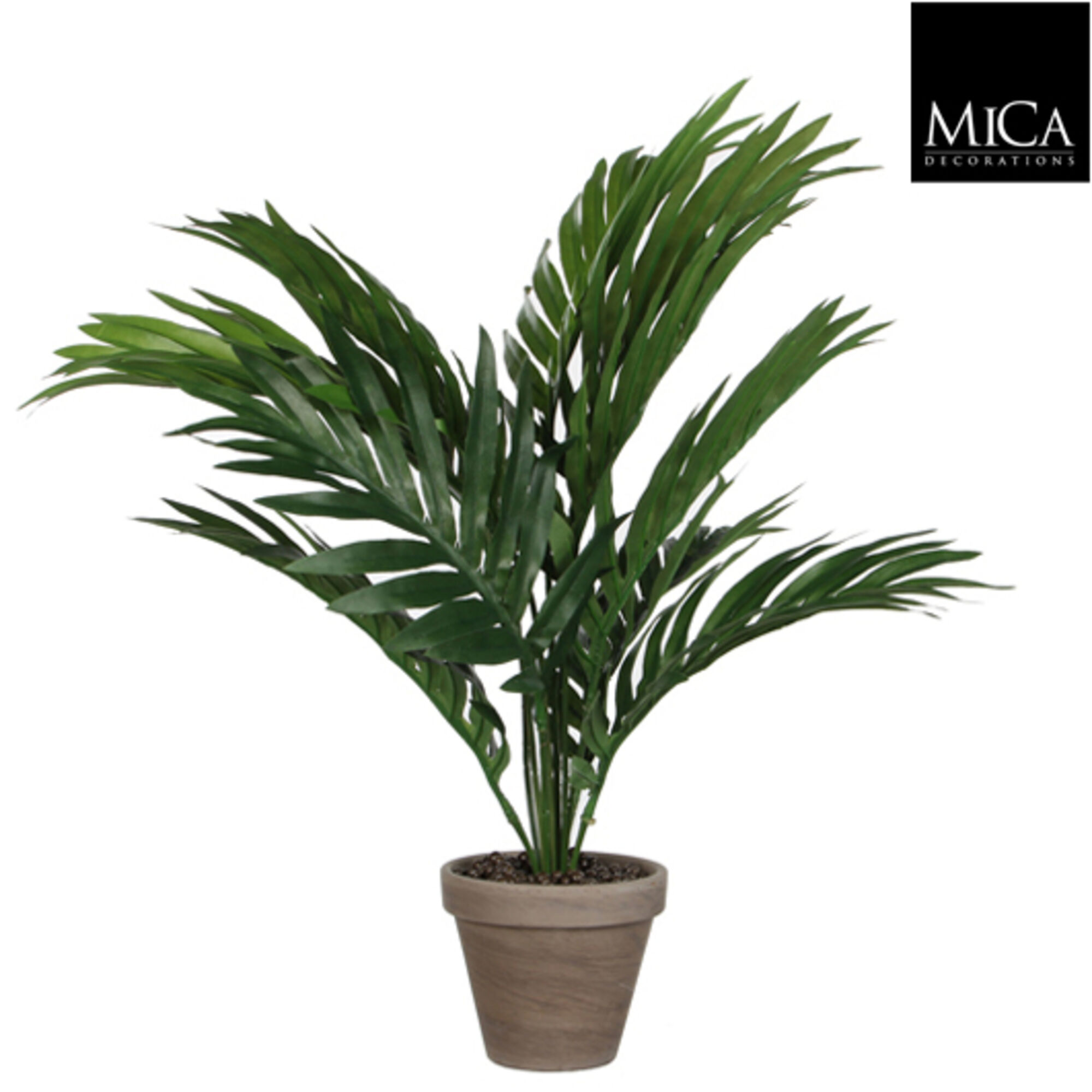 Areca palm groen in pot Stan grijs d11,5cm