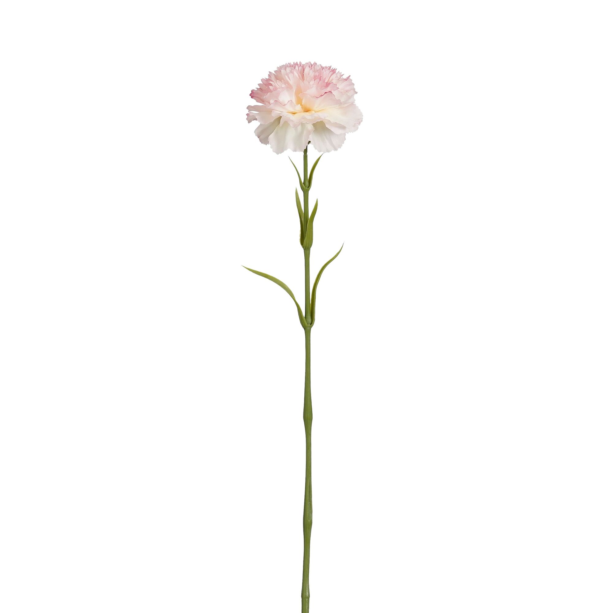 Anjer roze Real Touch