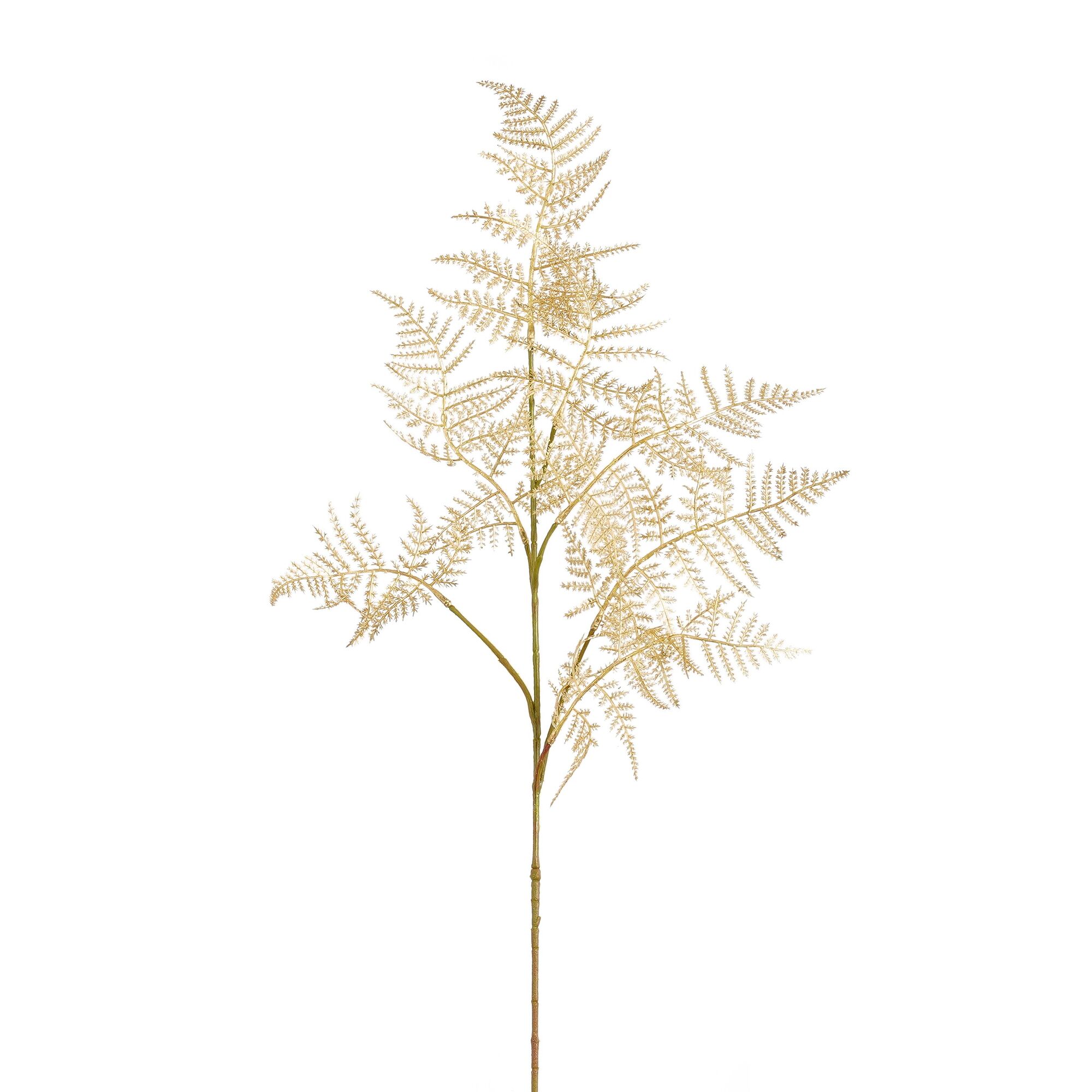 Cypres blad goud