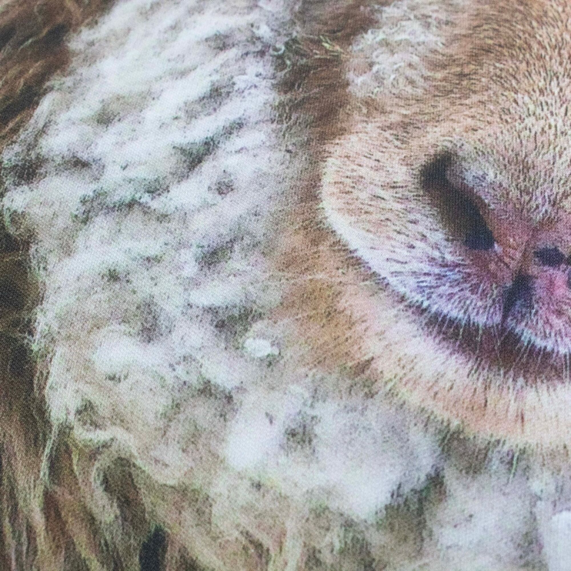 Schapen buitenkussen beige