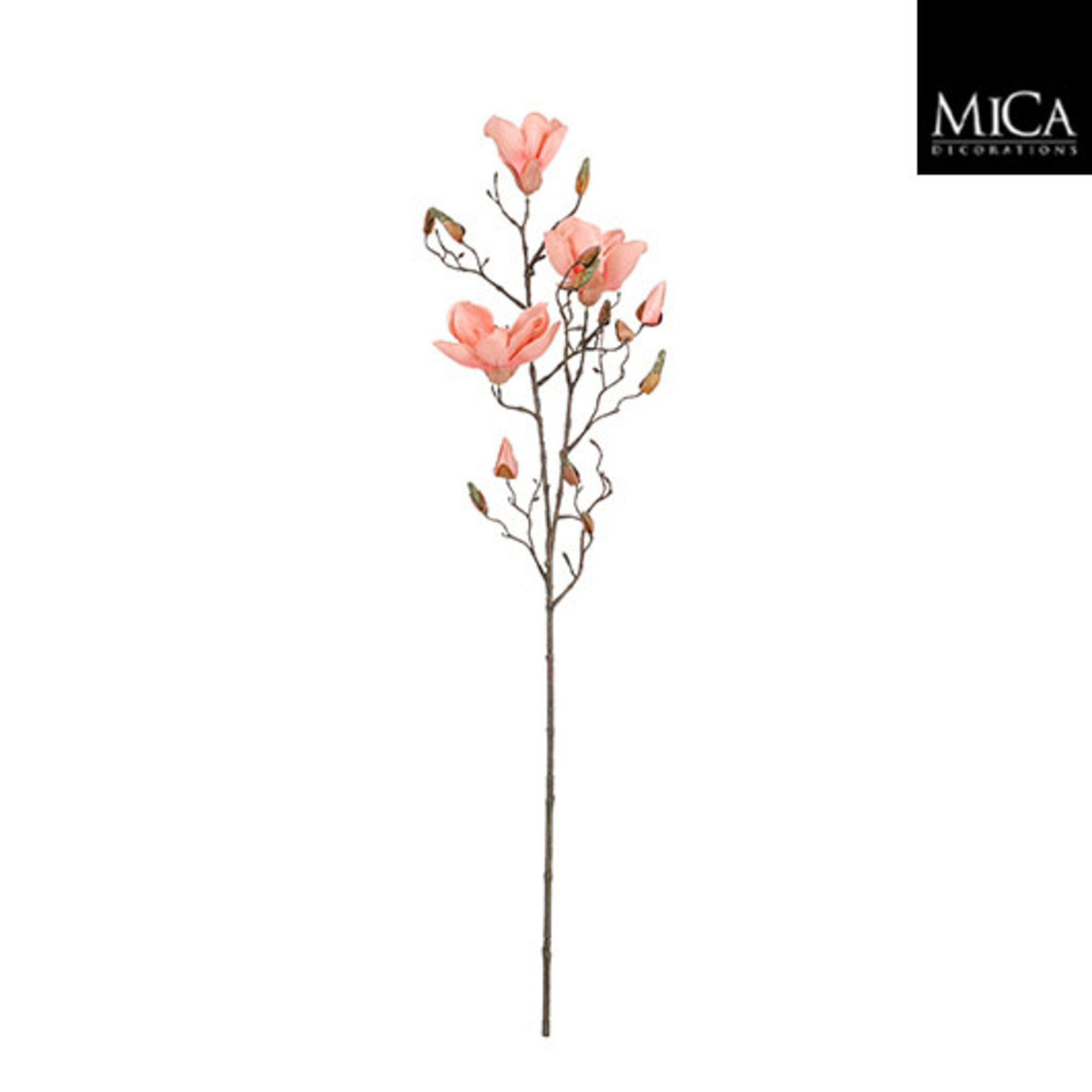 Magnolia perzik
