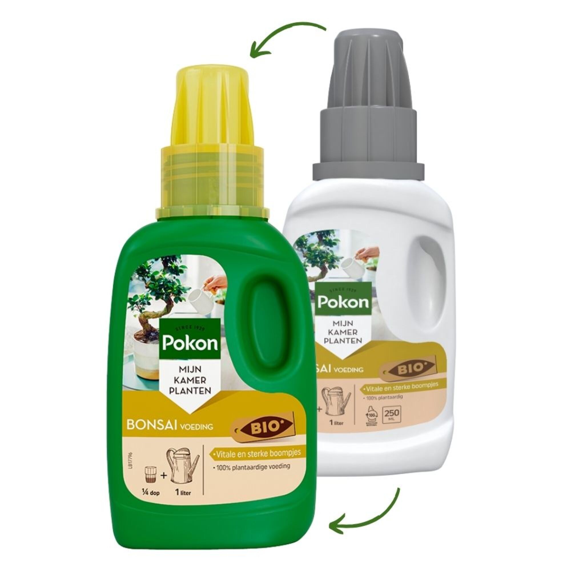 Pokon Bio Bonsai Voeding