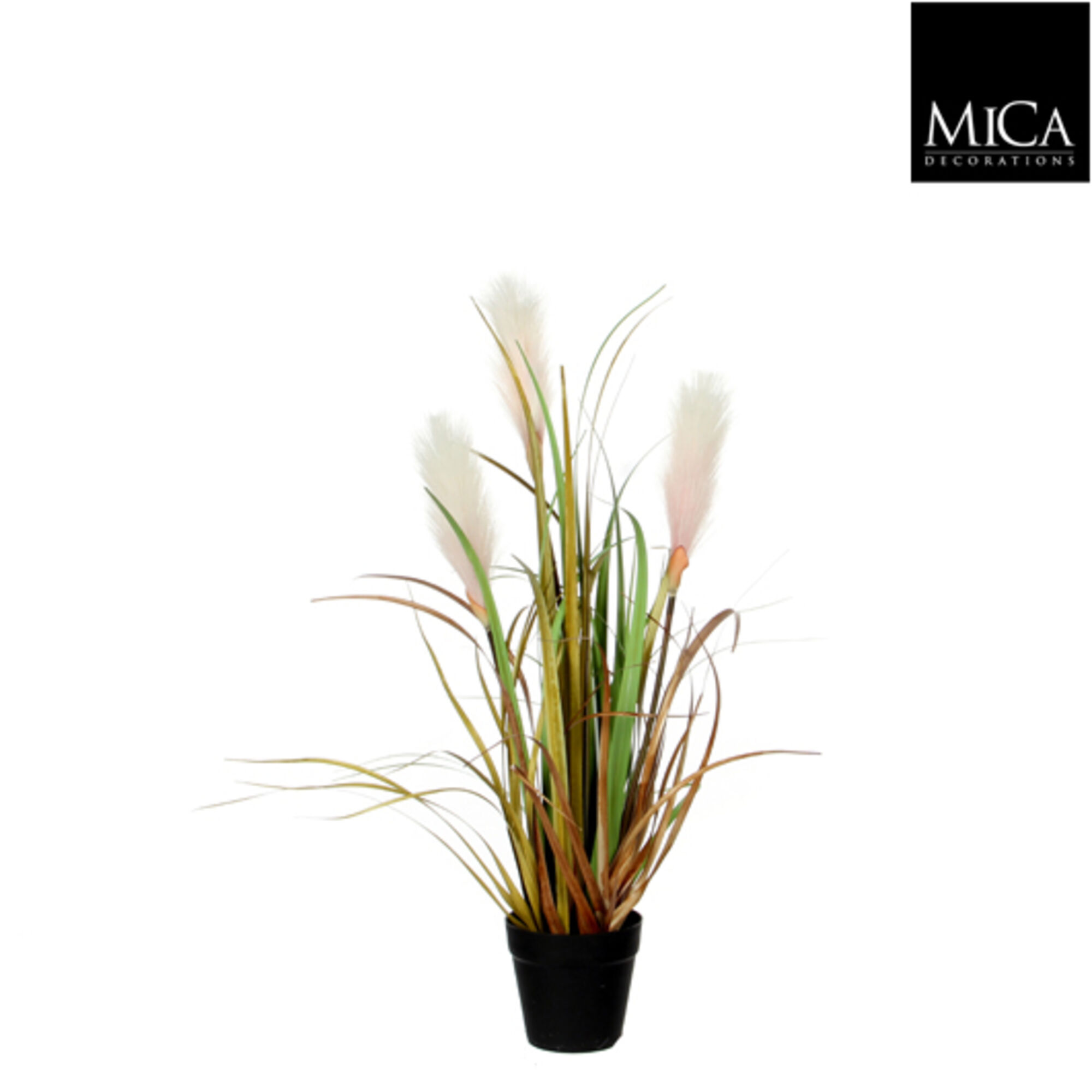 Riet gras l.bruin in plastic pot d10cm