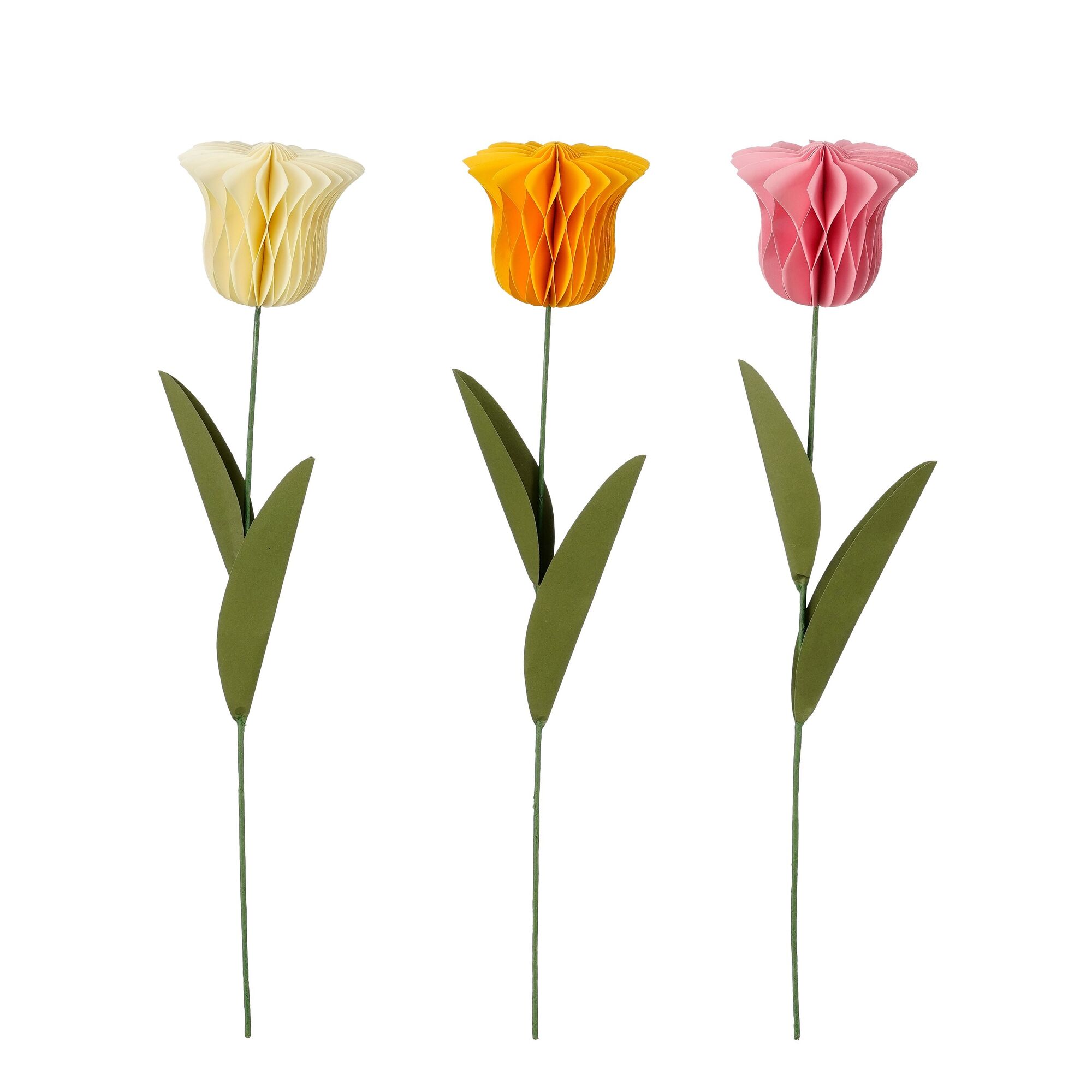 Bijsteker tulp wit geel roze 3 assorti FSC Mix