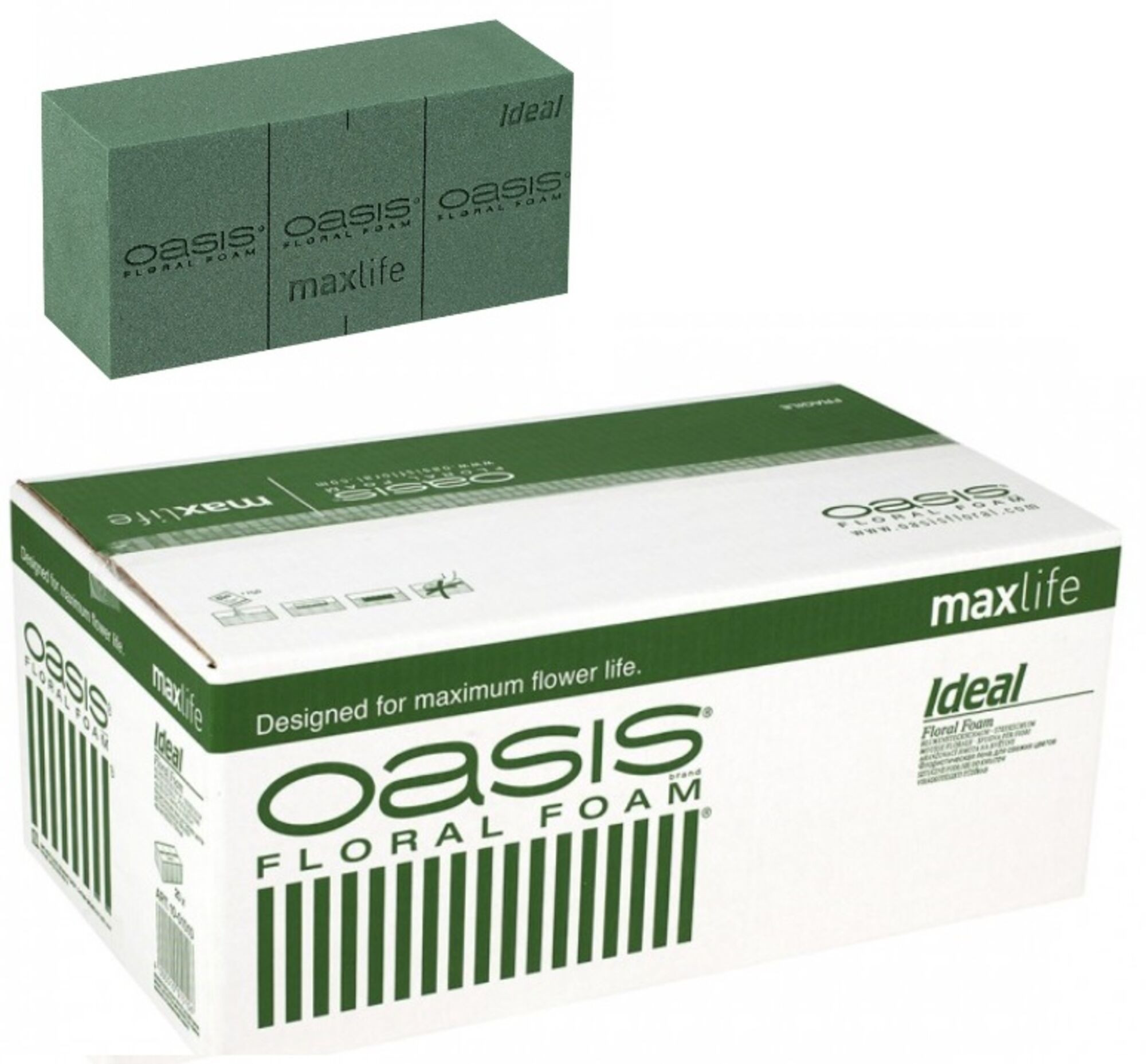 Oasis Ideal