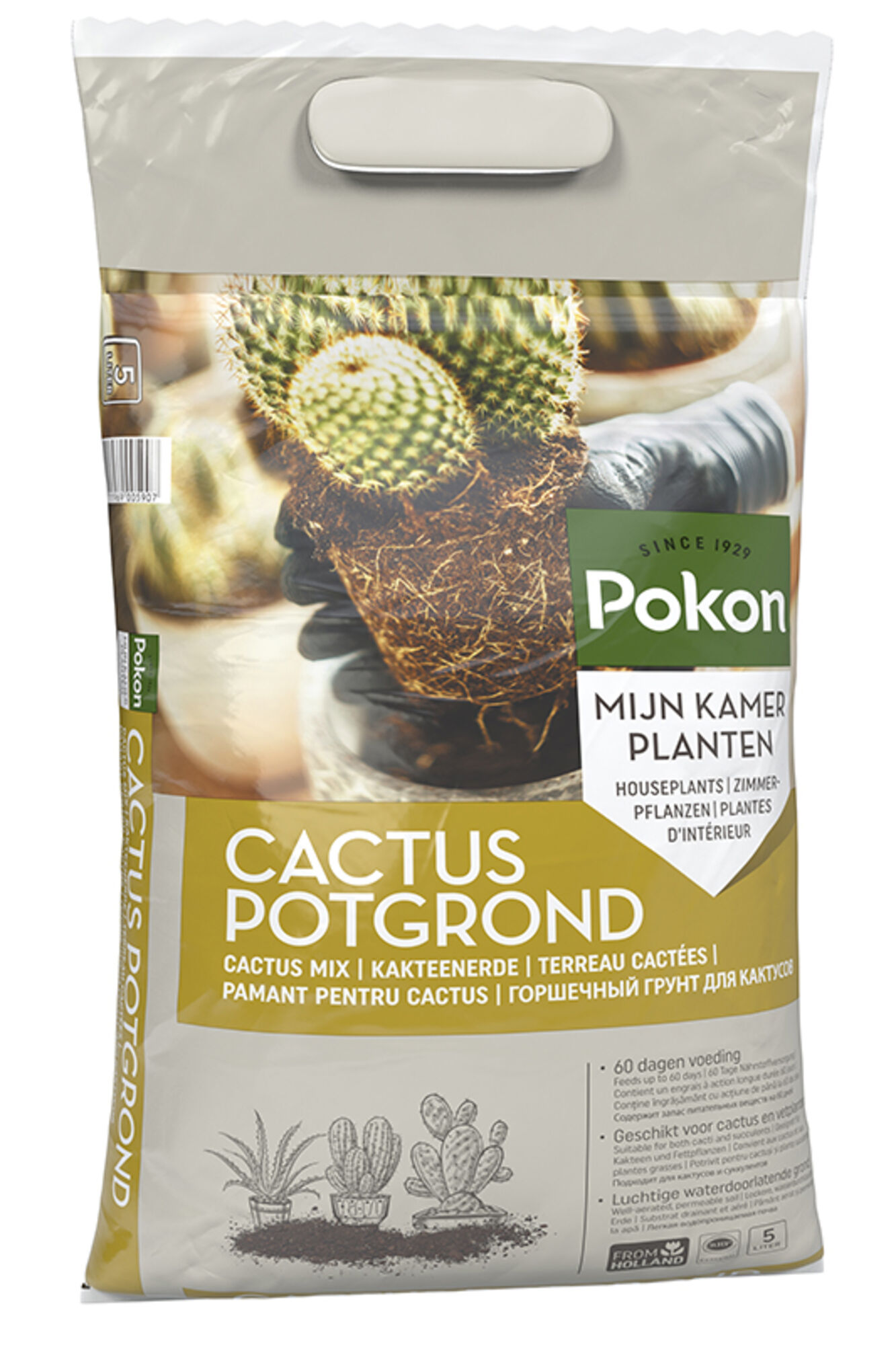 Pokon Cactus Potgrond