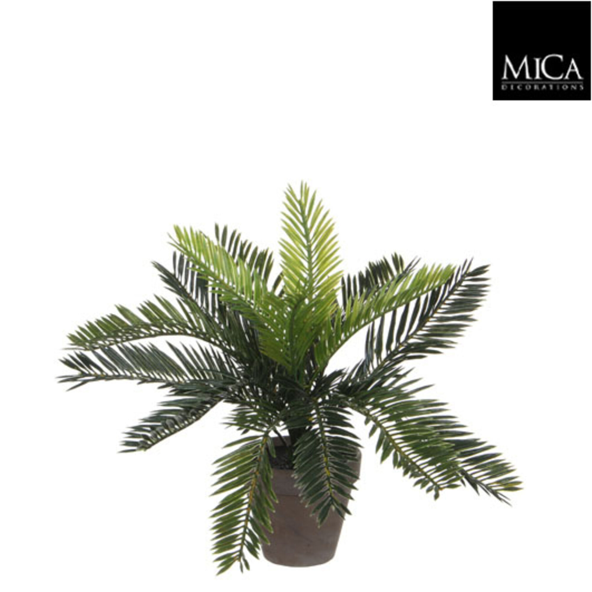 Cycas palm groen in pot Stan grijs d11,5cm