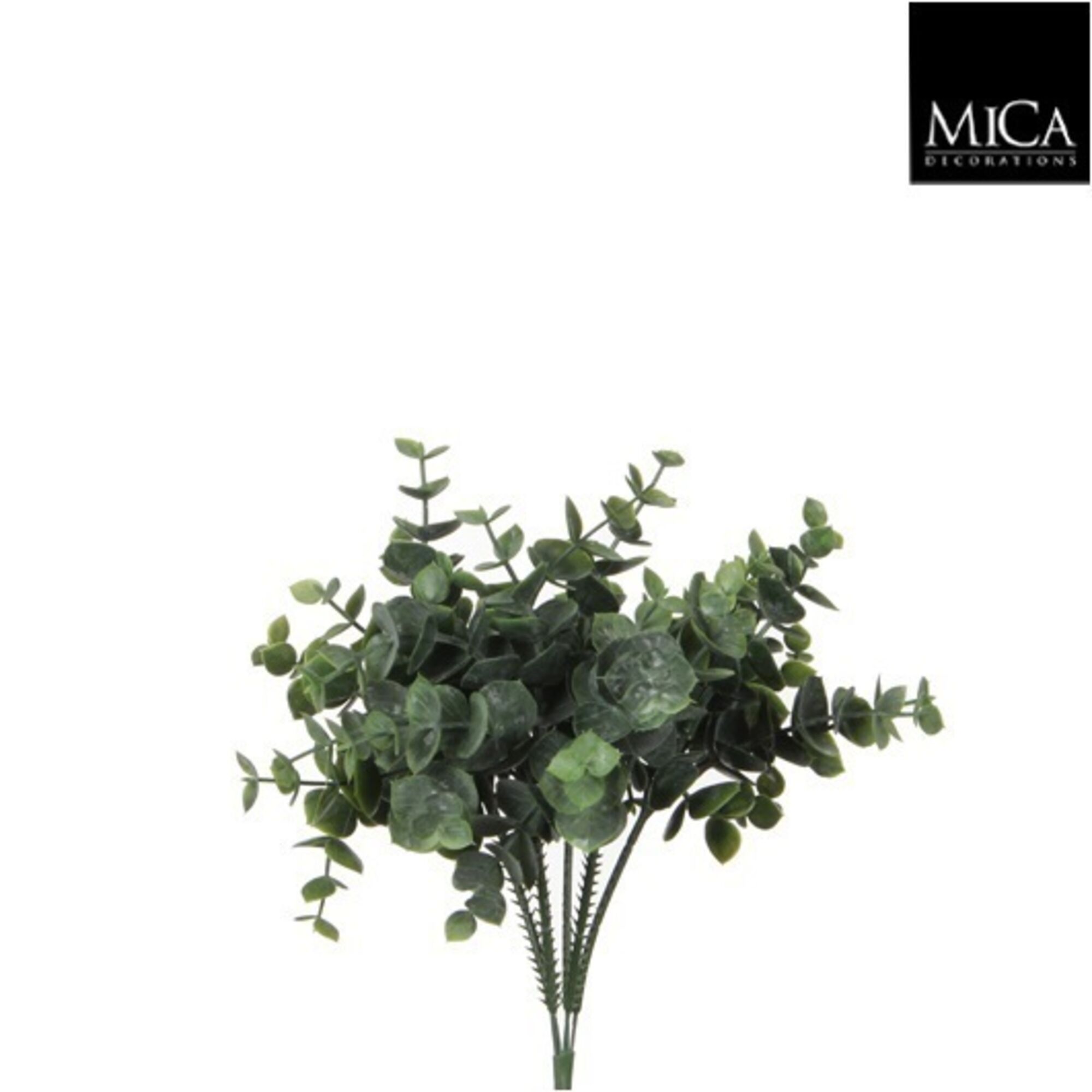 Eucalyptus groen