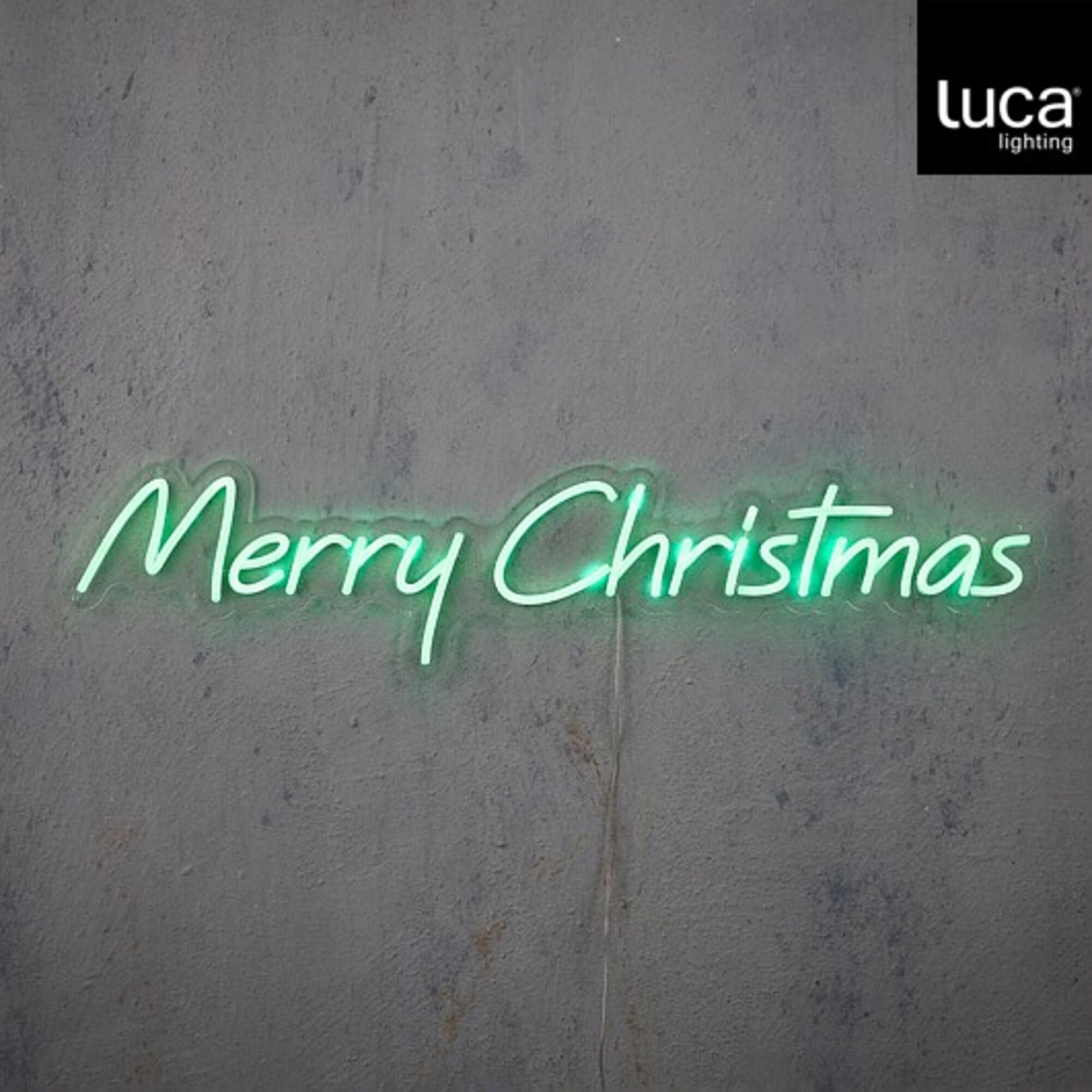 Neon light merry christmas groen 300led IP20 adapter included