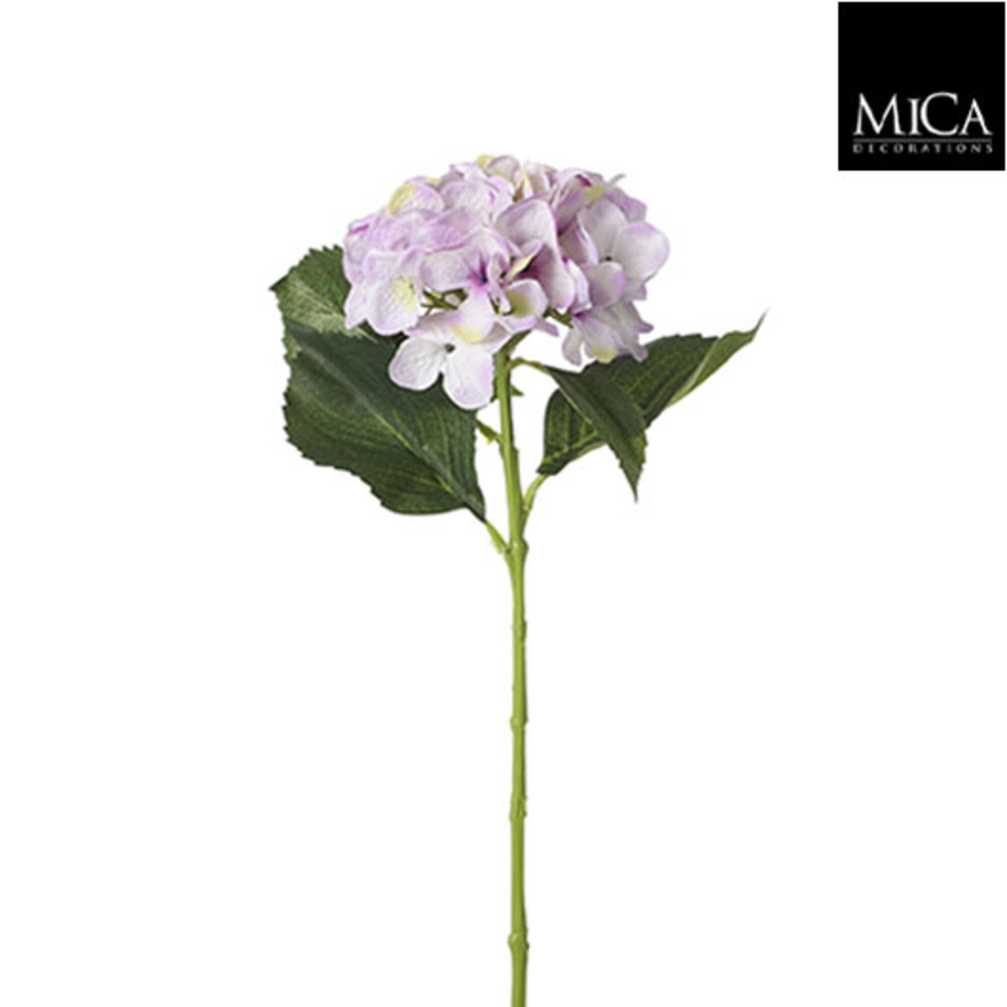 Hortensia lila