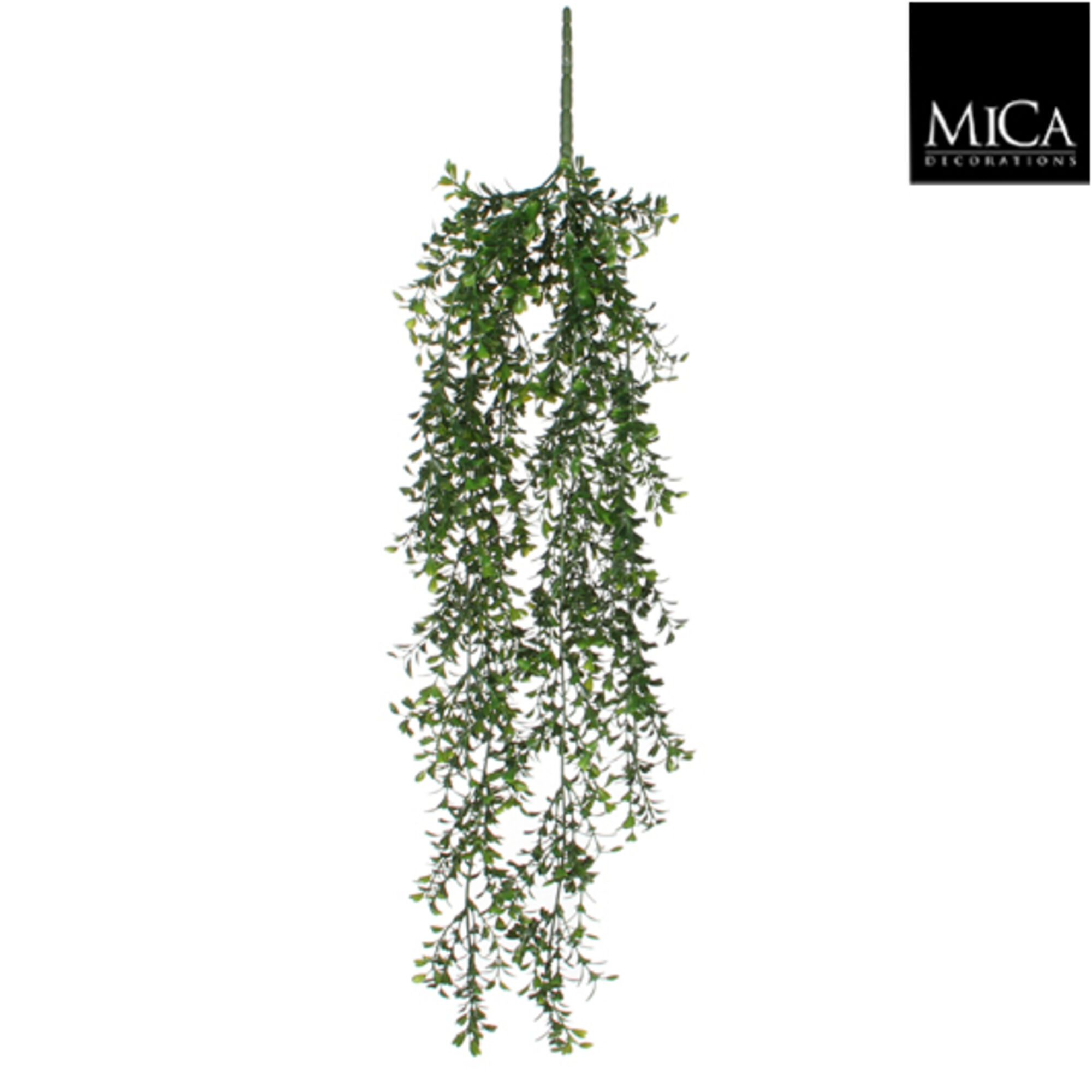 Buxus hangend groen