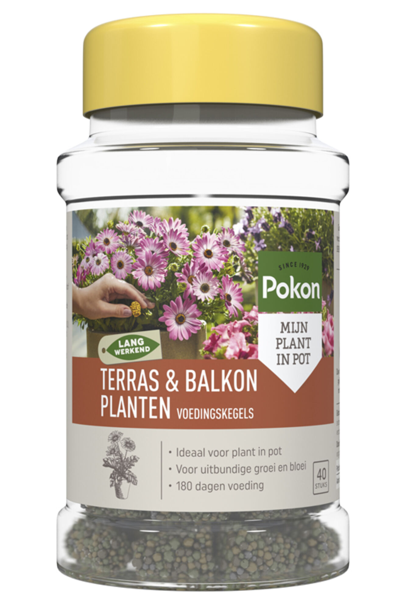 Pokon Terras-Balkon Voedingskegels