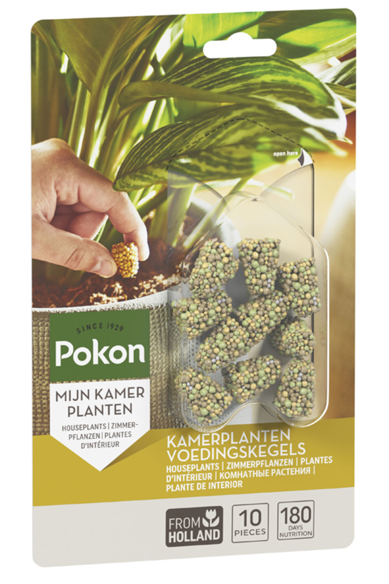 Pokon Kamerplanten Voedingskegels