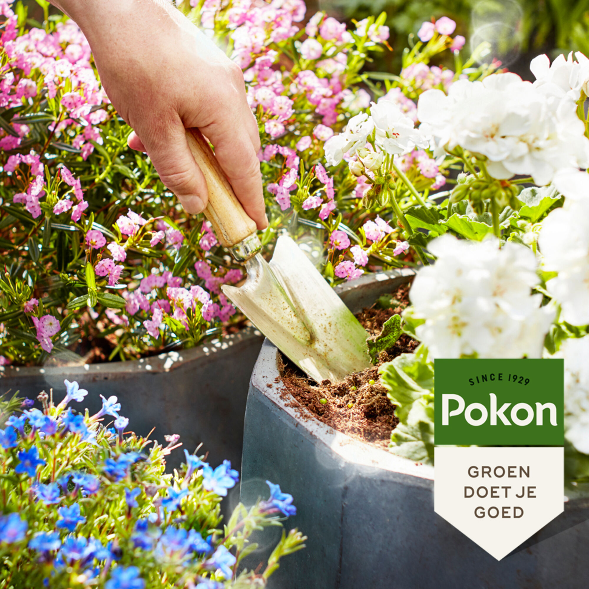 Pokon Terras & Balkon Planten Potgrond Compact