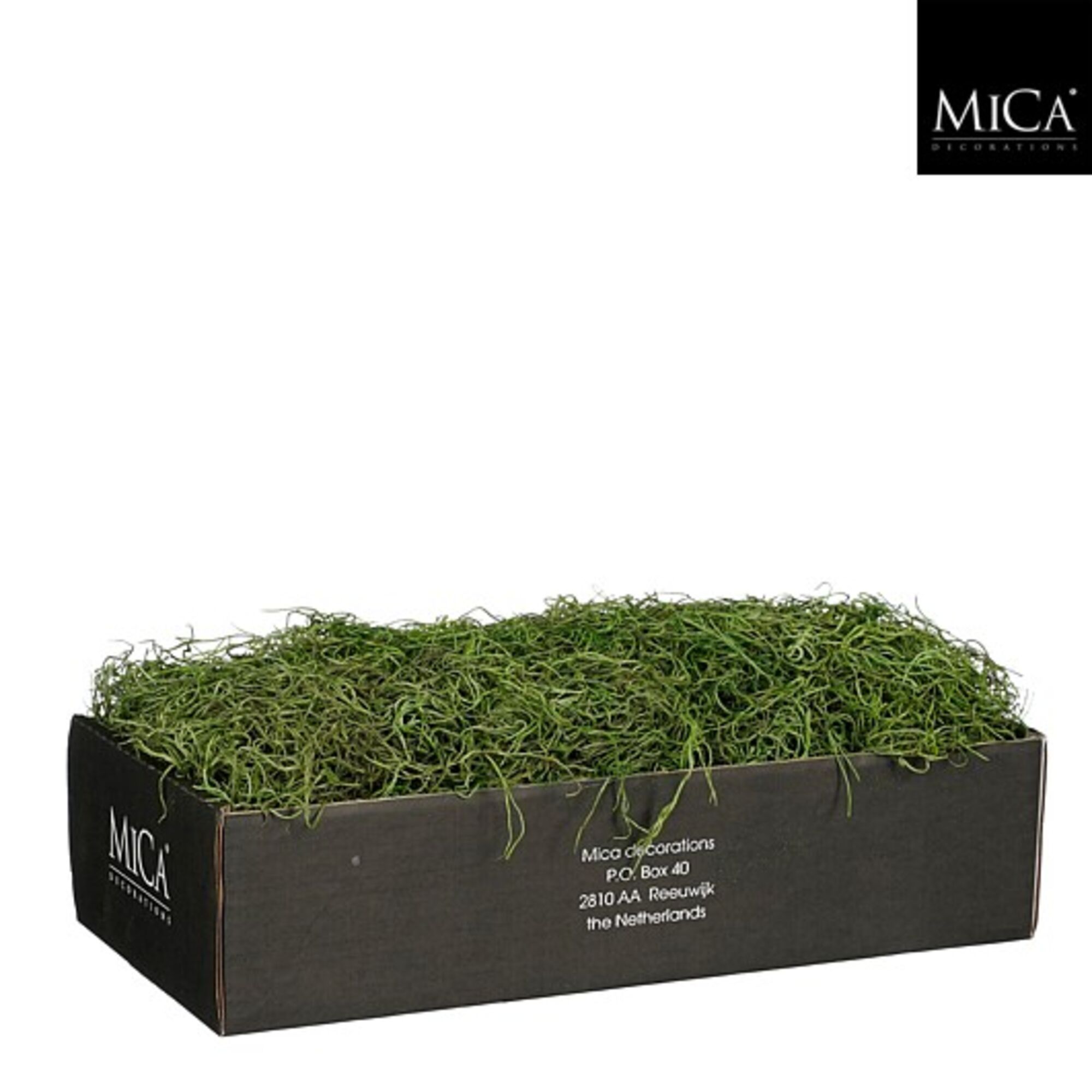 Tillandsia groen 350gr
