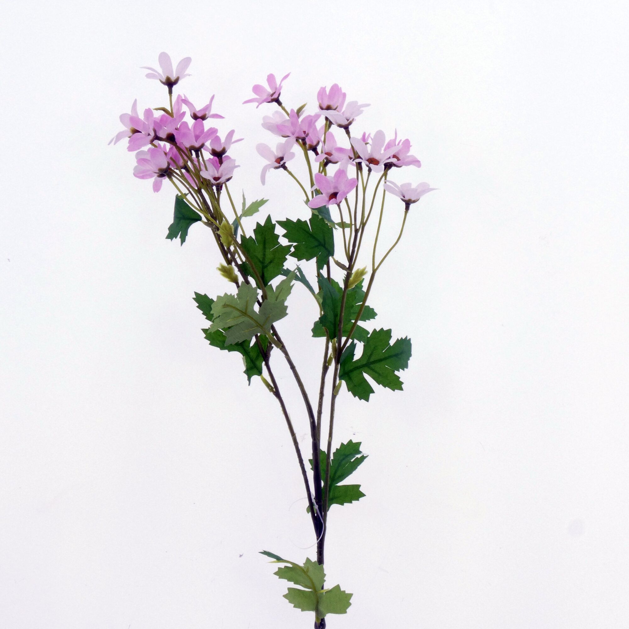 Matricaria spray - pink