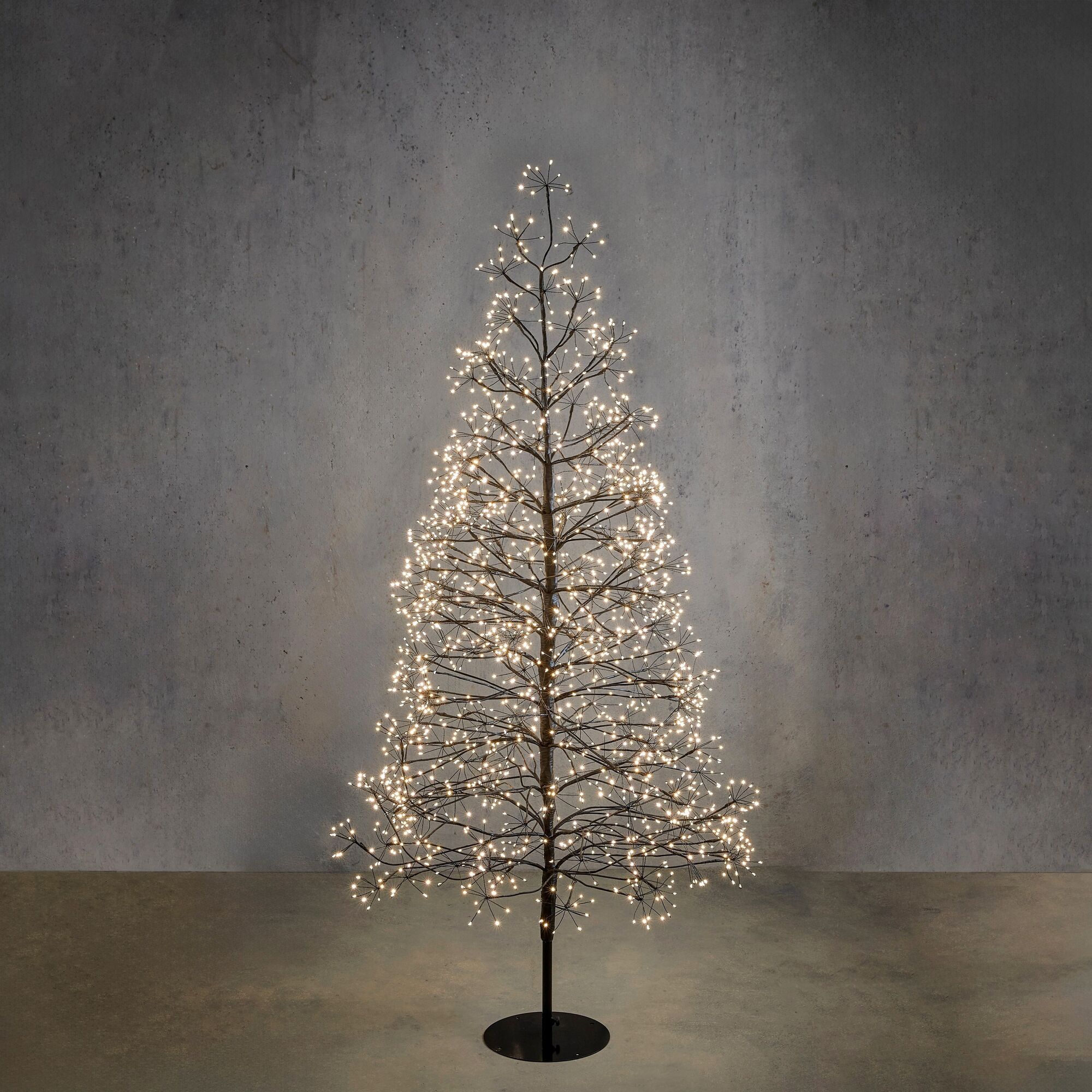 Boom led zwart warm wit 2100led IP44 en timer