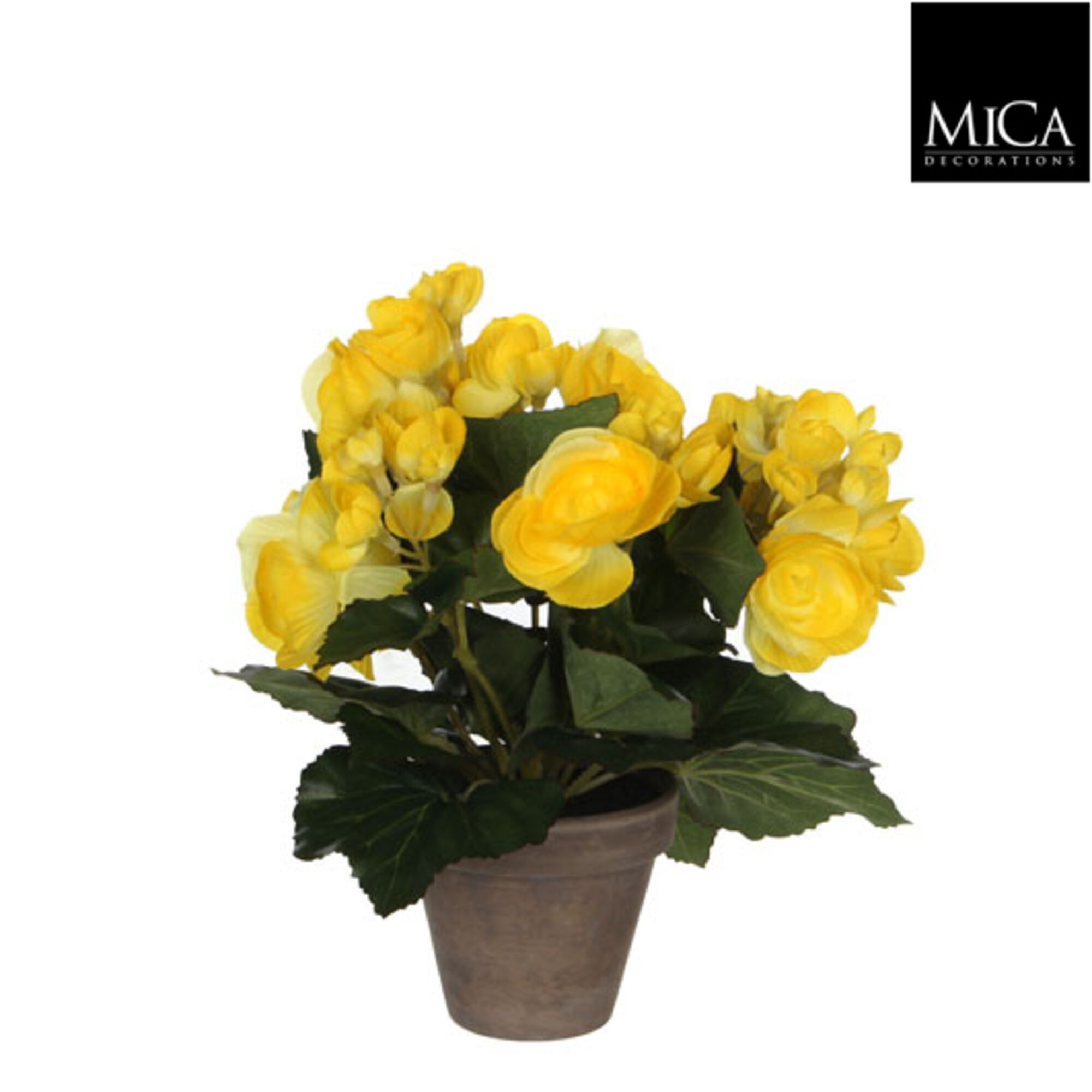 Begonia geel in pot Stan grijs d9cm