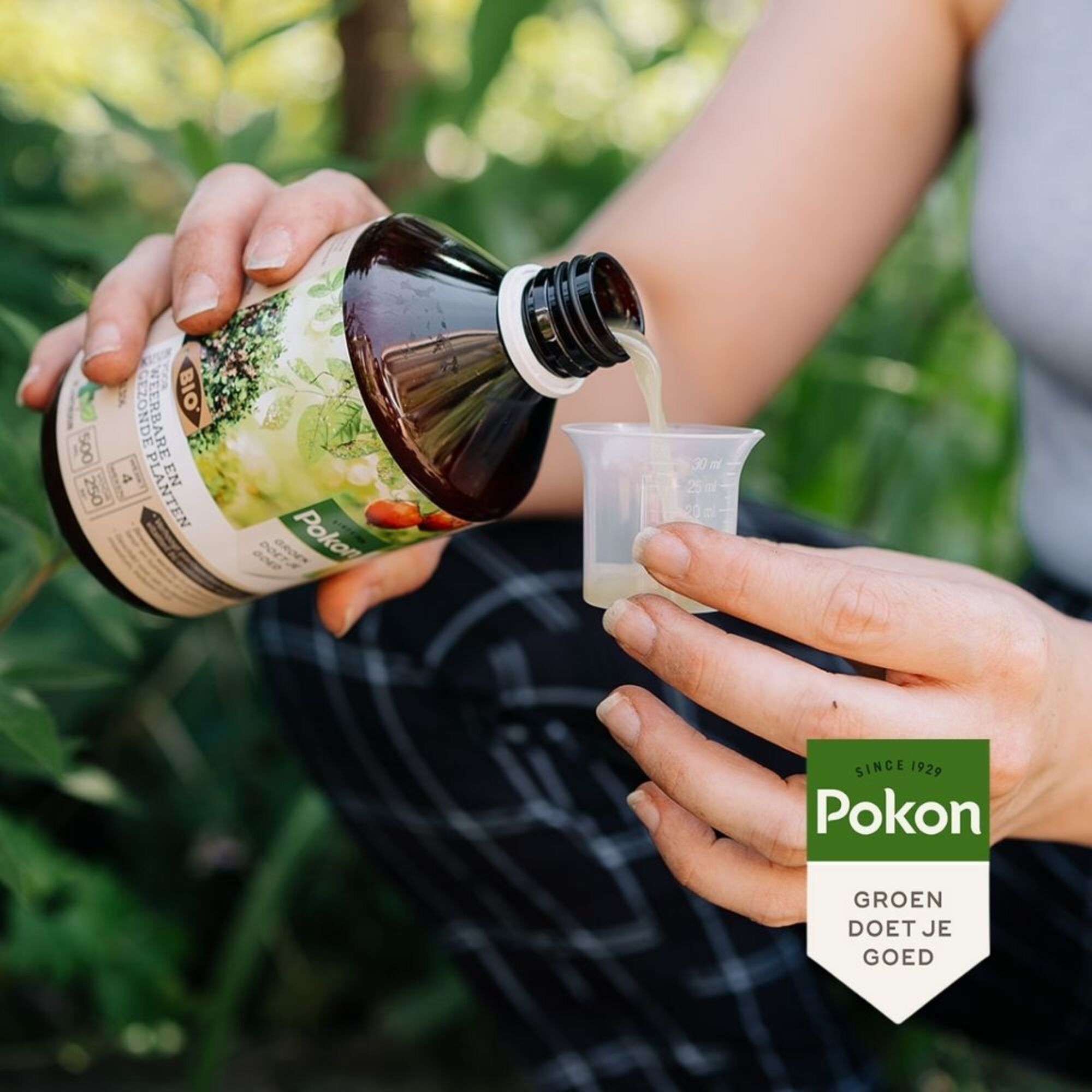 Pokon Bio Kuur voor Weerbare en Gezonde Planten concentraat