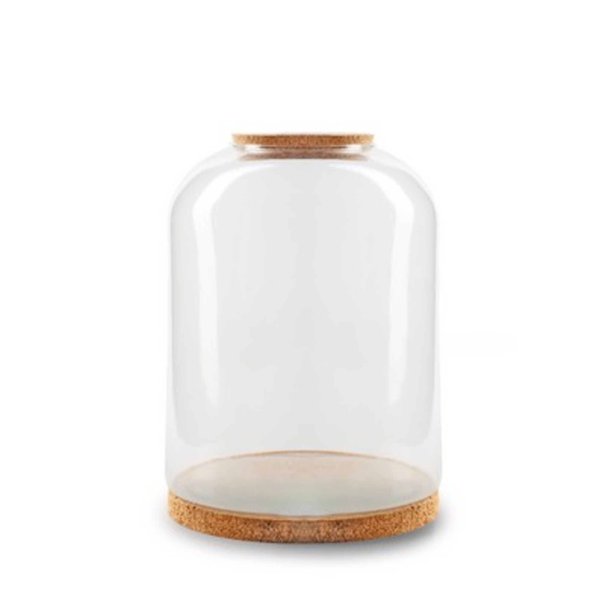 Terrarium met kurk sandra