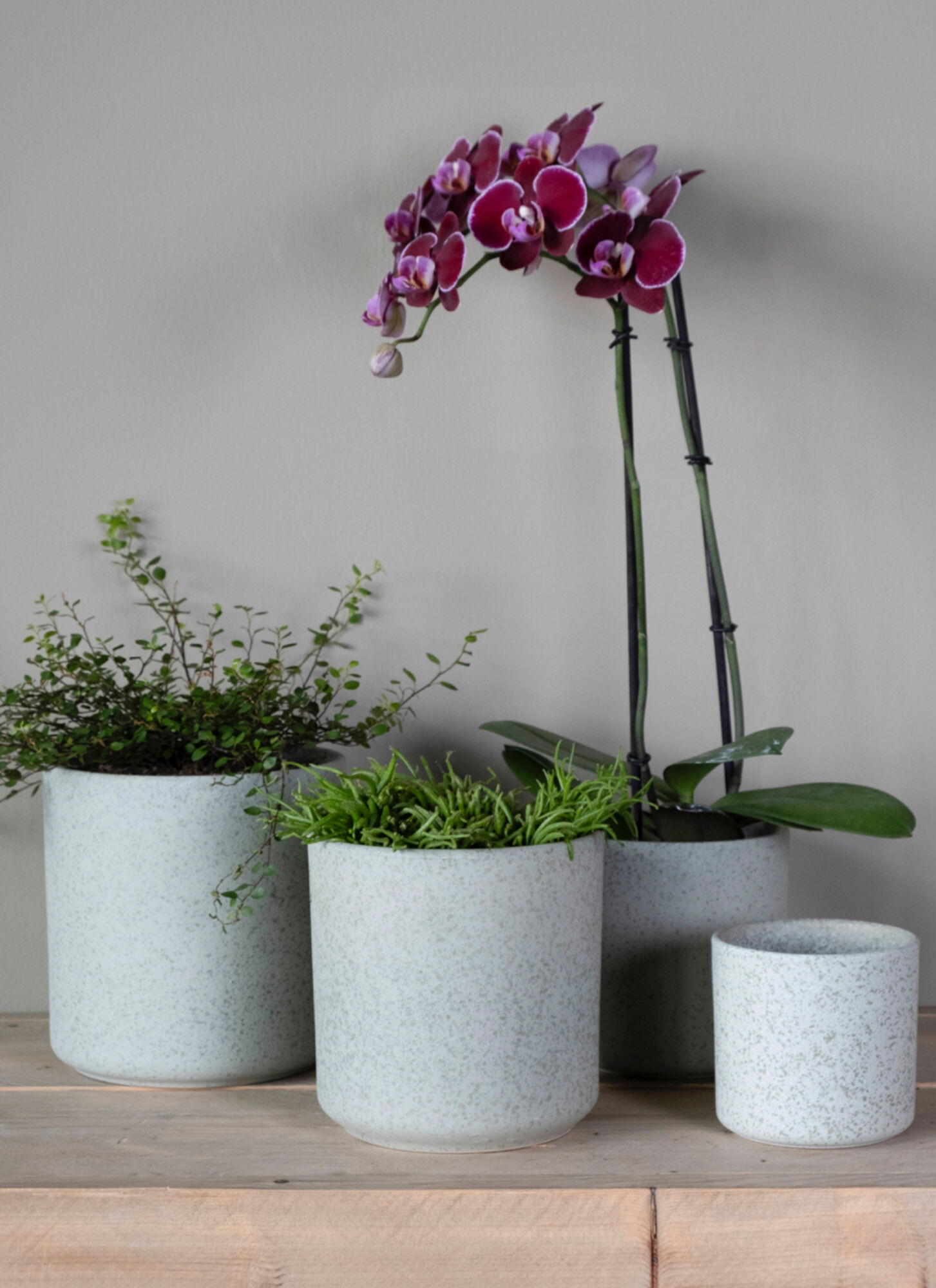 Cylinder Bloempot Keramiek groen